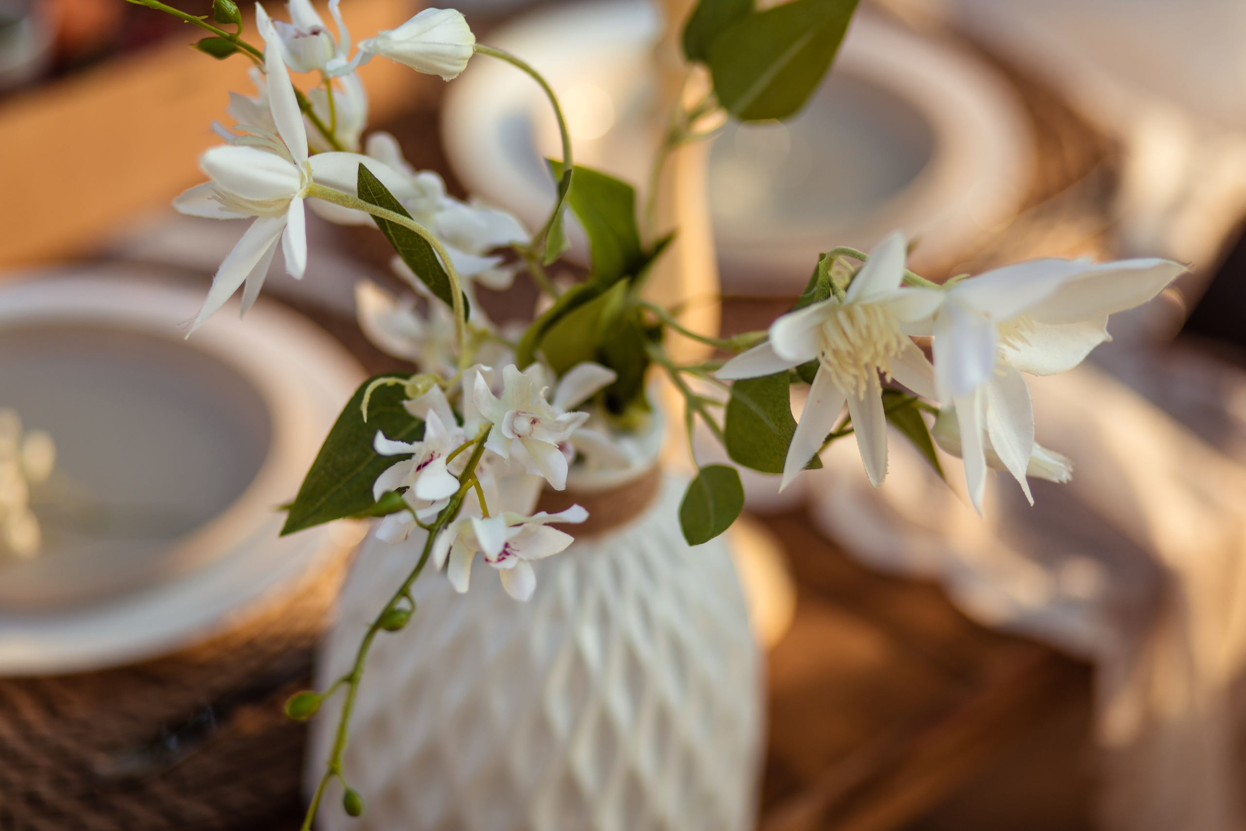 Girls just wanna have fun. Photographer in Singapore Kate Bird
