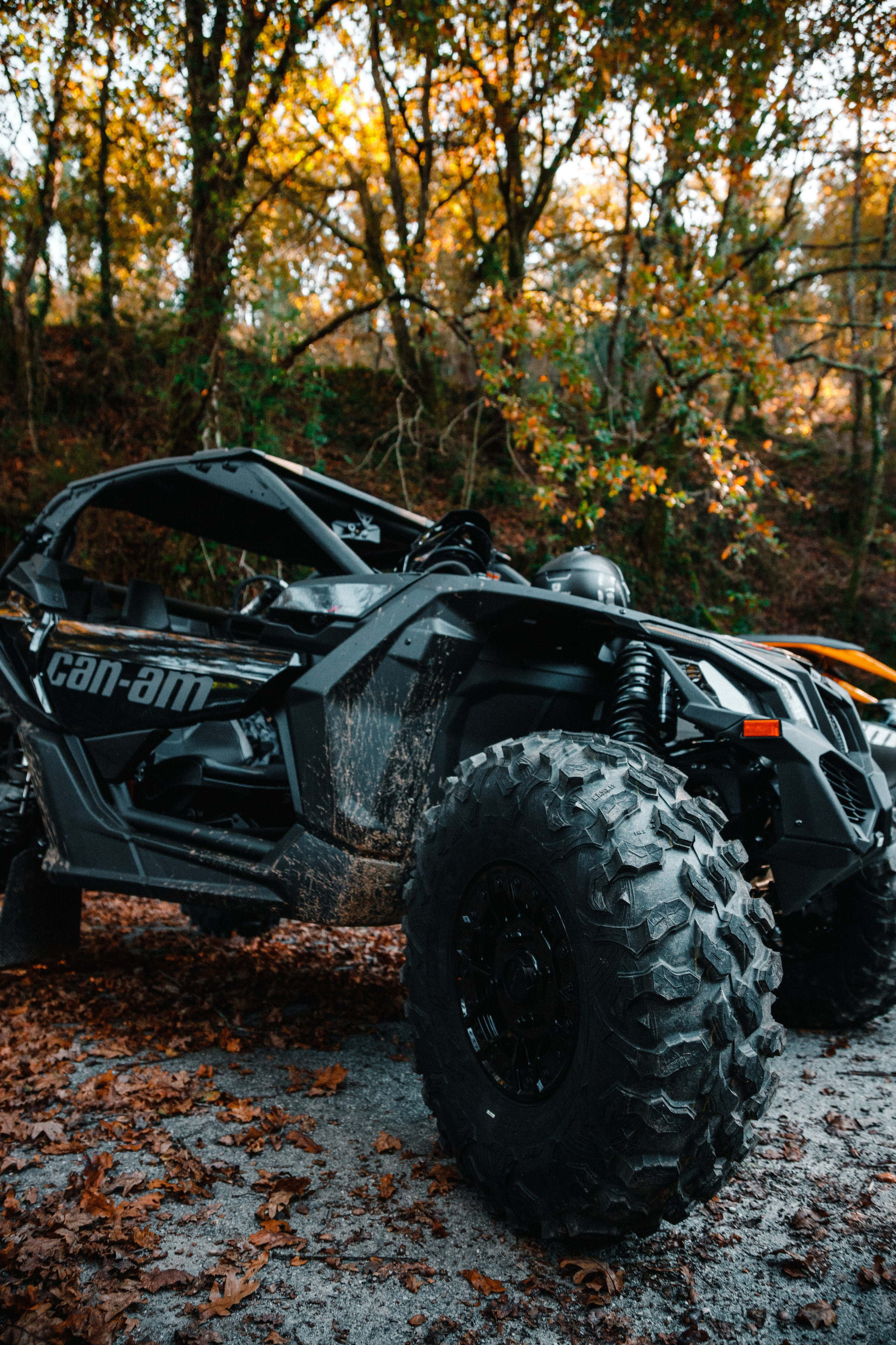 Reportage sport. Wedding photographer and videographer Europe