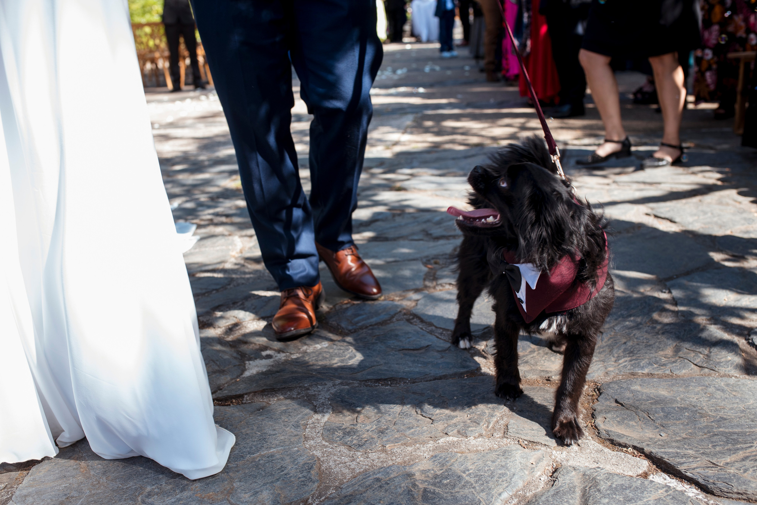 Macarena y José Ignacio. Wedding photographer AyF Fotografías
