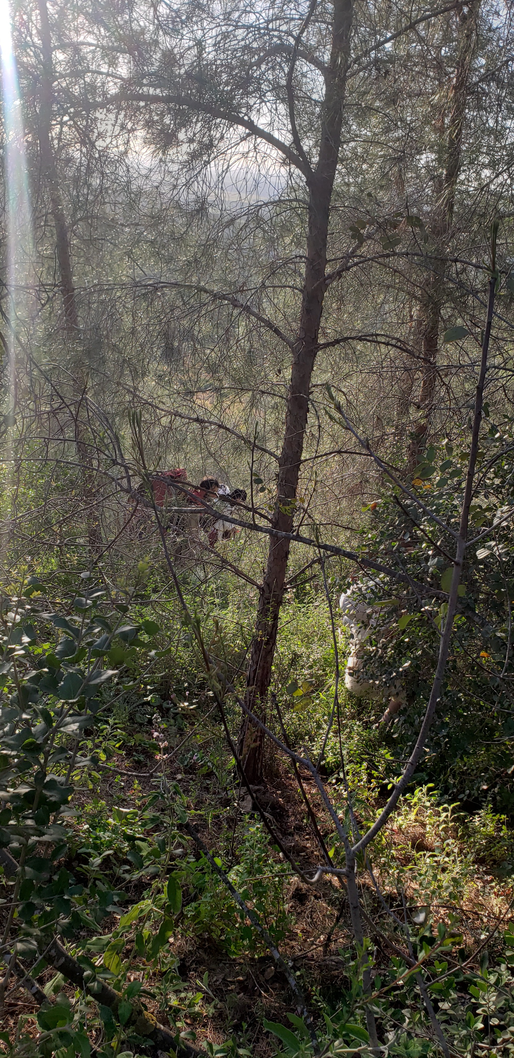 Реконстукционный поход Парк Британия. КРиС «Нортман»
