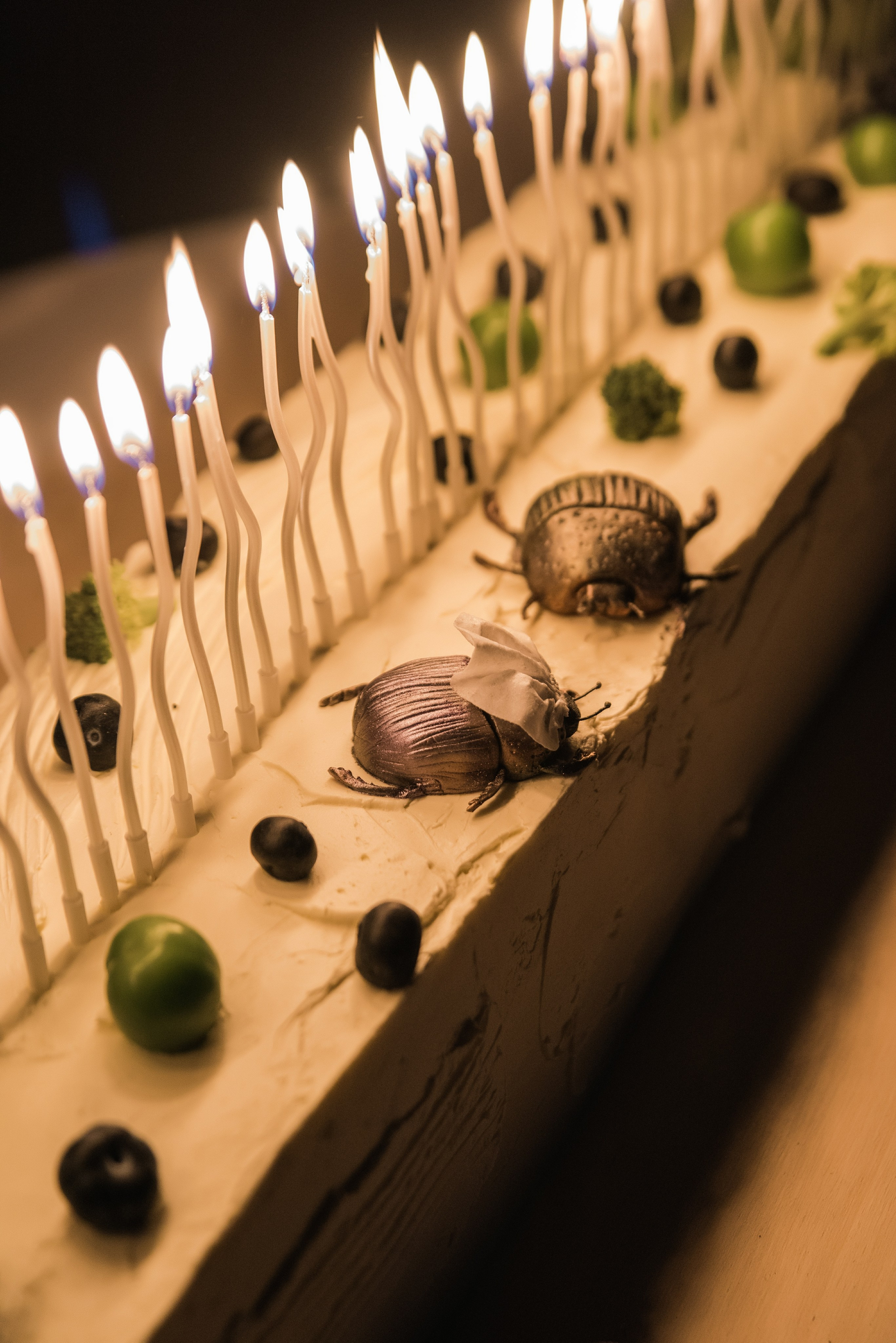 Свадьба в Сигнаги. Пара из Казахстана. Свадебные фотографы в Грузии, Армении. Макс Коваленко и Лара Татосян. Свадебный видеограф