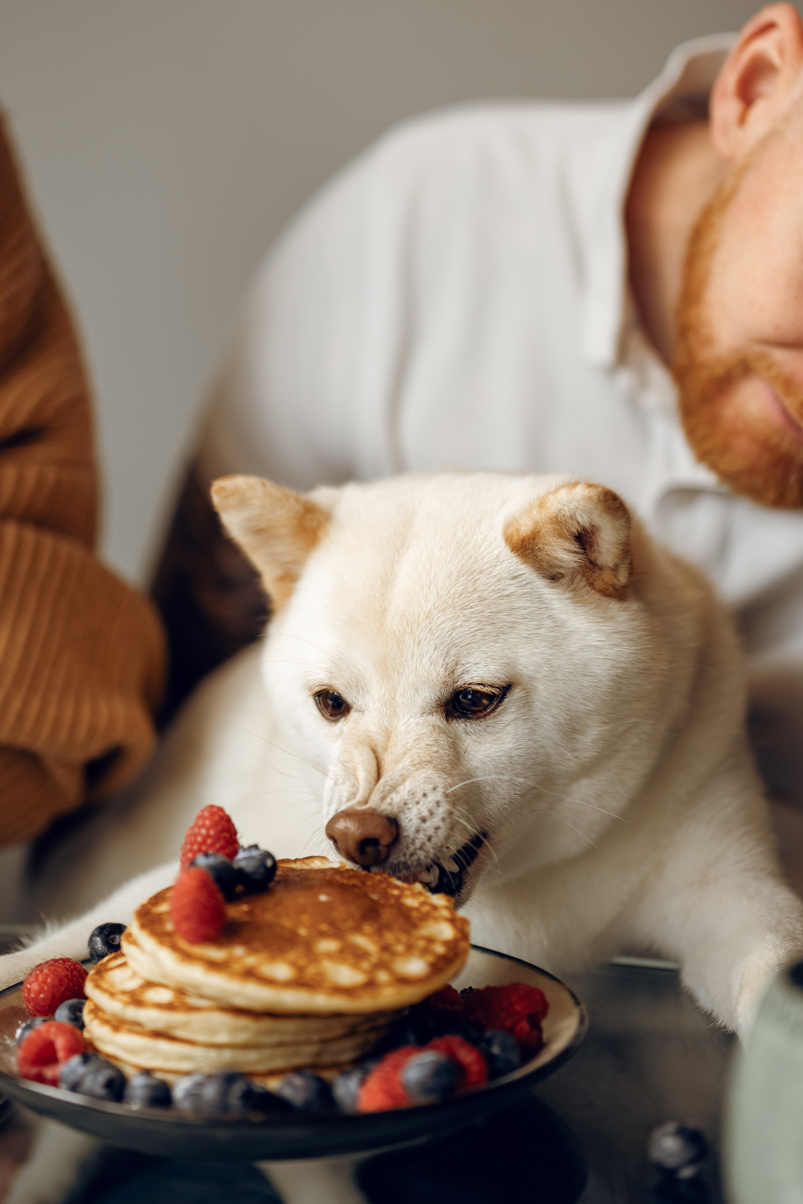 Katya & Nick. Photographer Irina Novikova