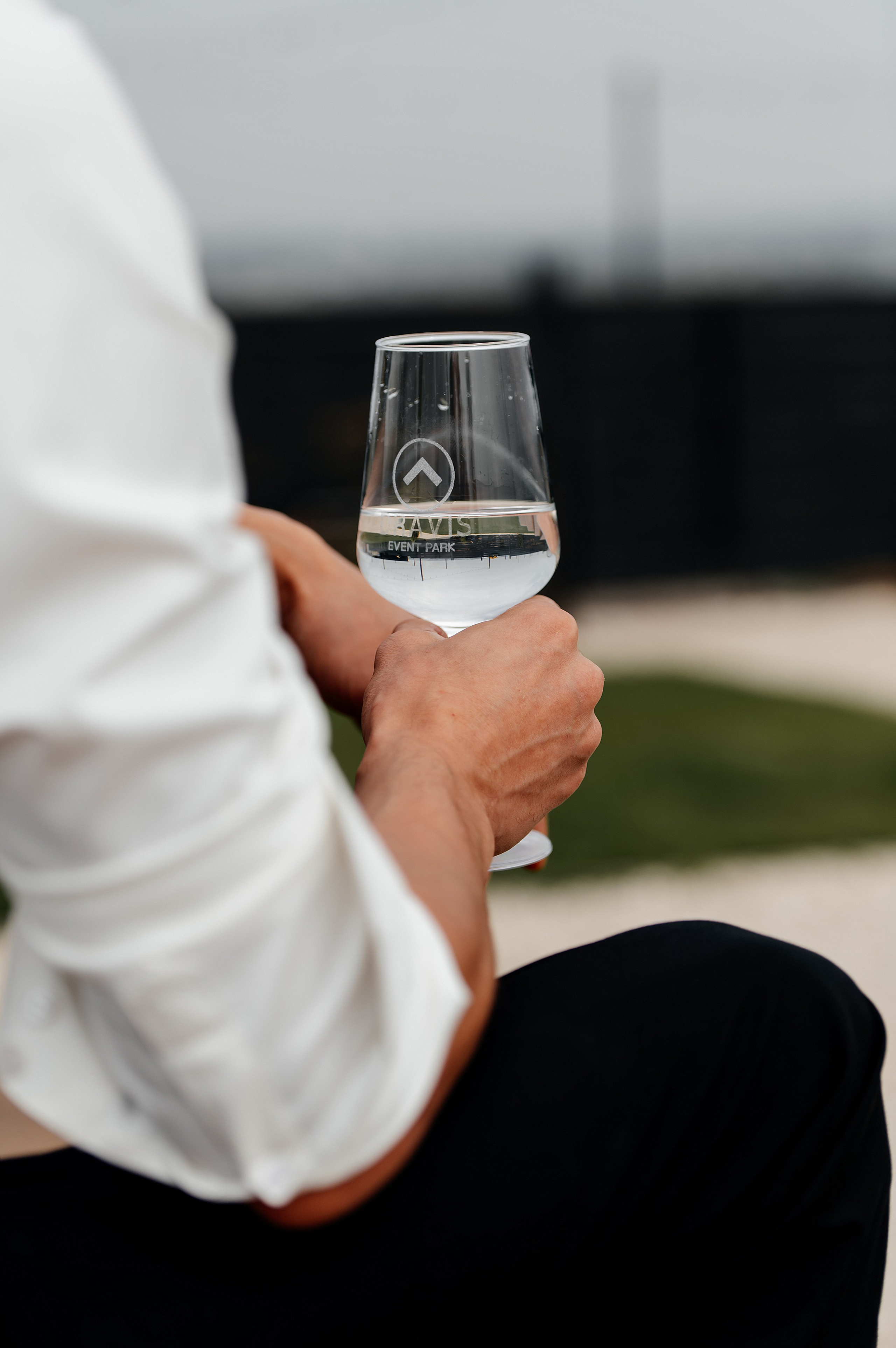 Wedding Dina & Vasili. Wedding photographer from Moldova Alexey Chipchiu