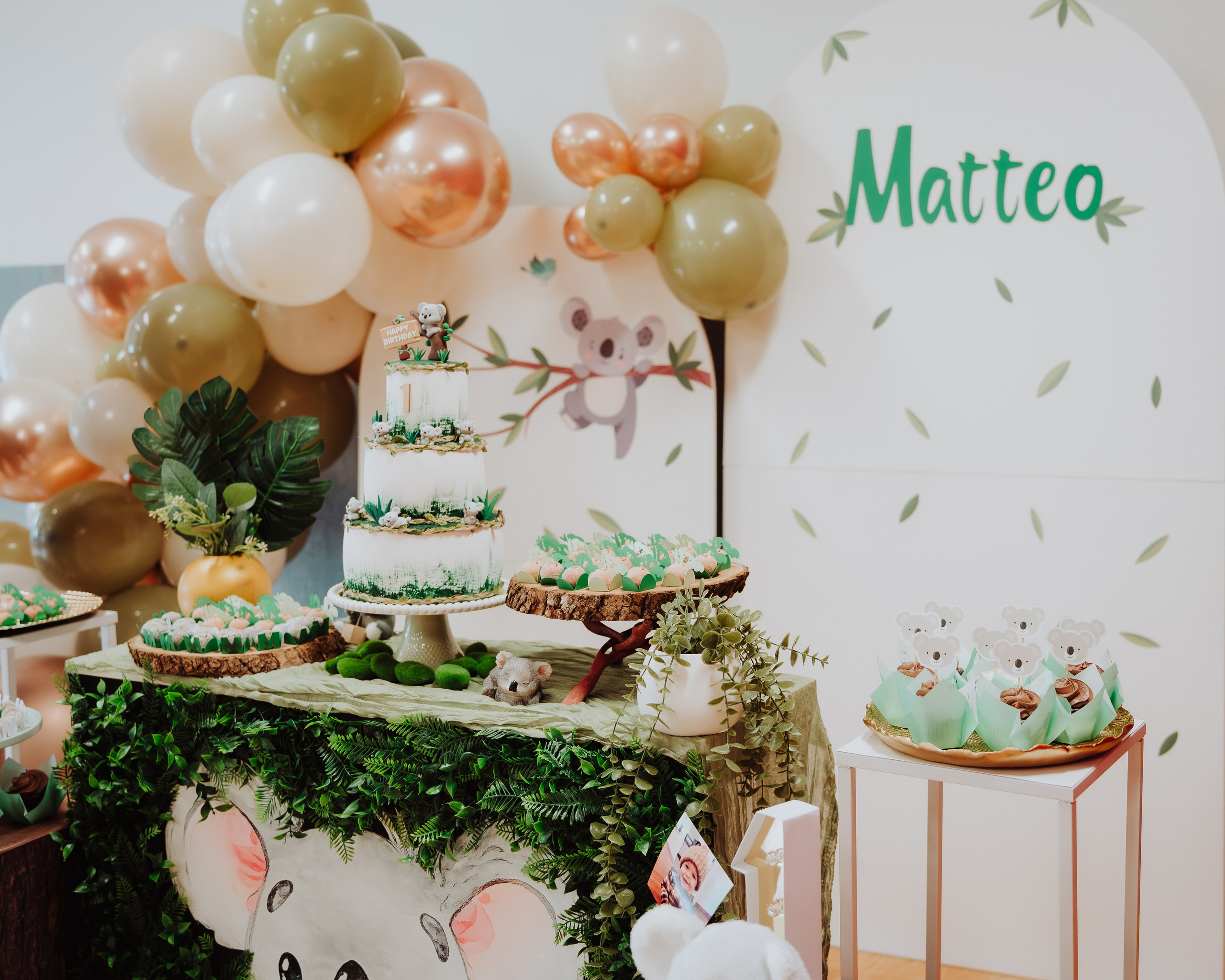 Celebrate Birthday -Mateo. JS Photoshoot | Family, Events & Pet Photographer in Brisbane