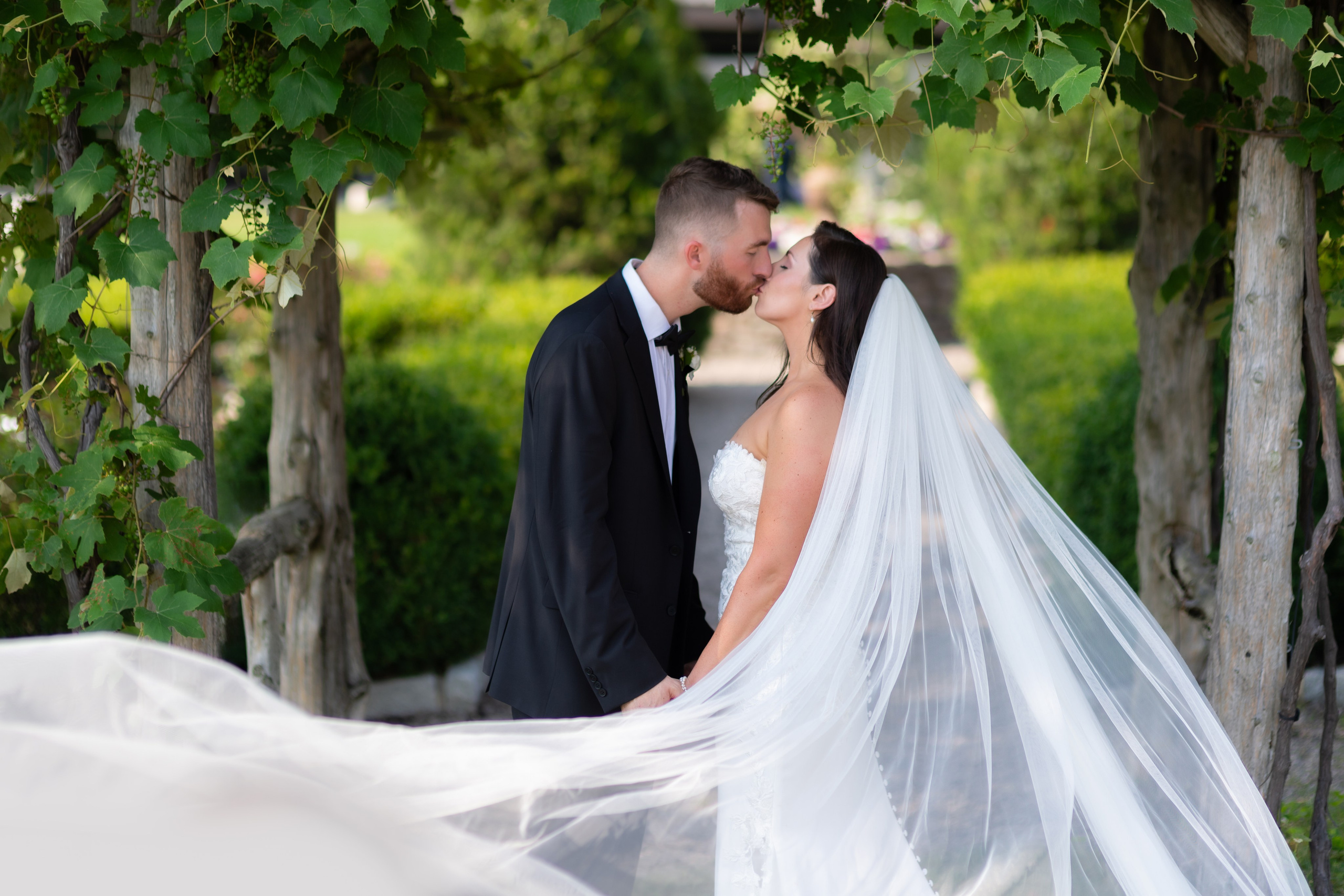 Angelica & Conor. Wedding Photo & Video