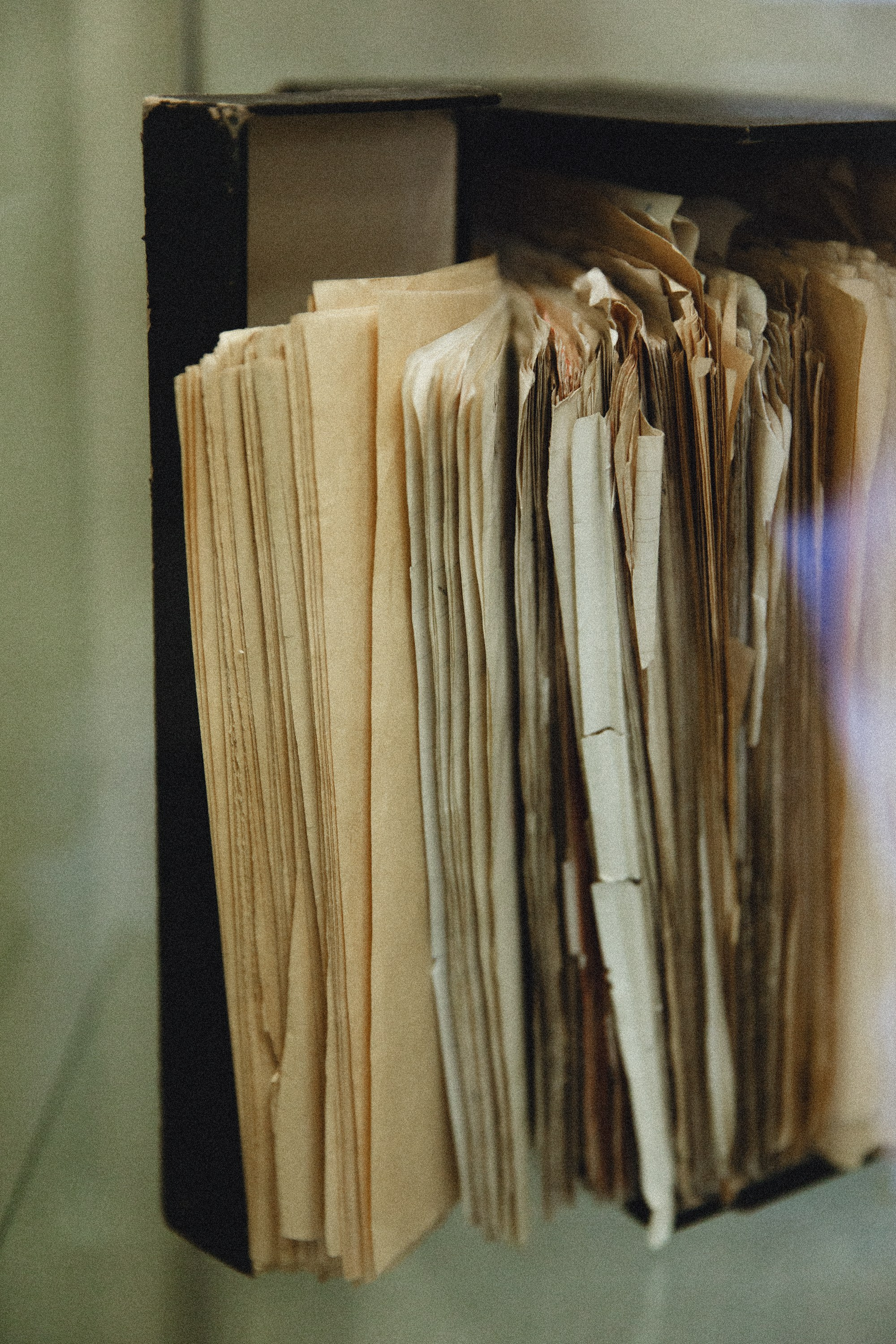 Museum of farmacy in Wroclaw. Kaja | fotograf we Wrocławiu | ludzie i psy