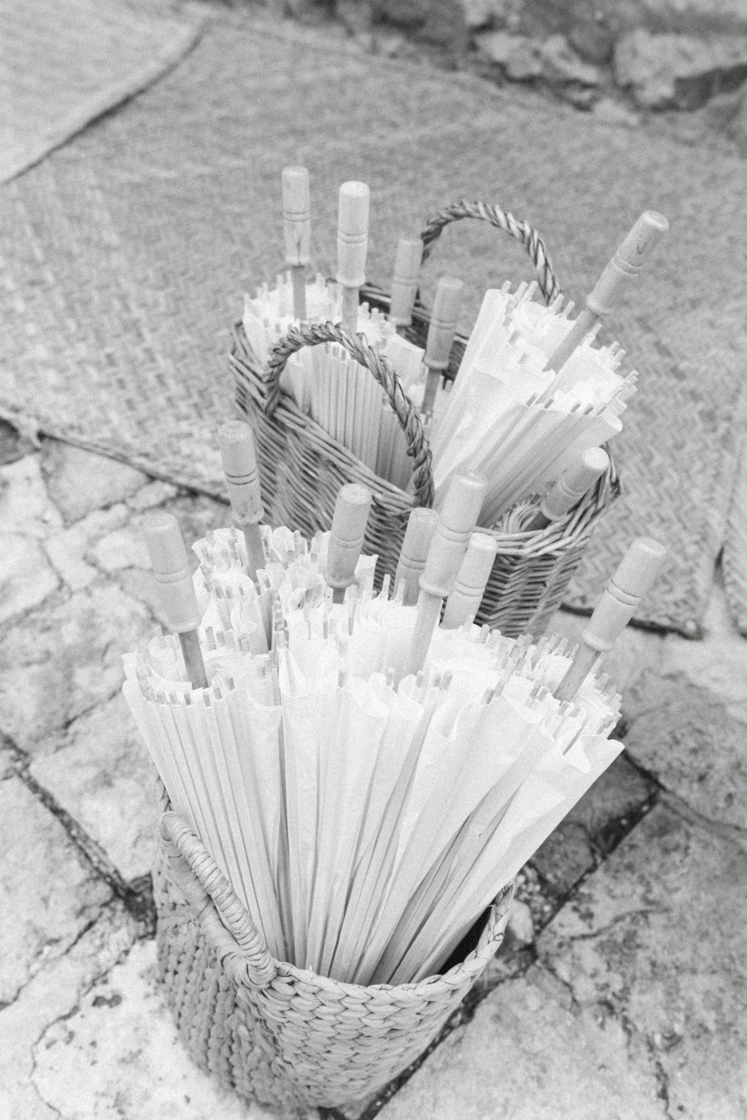 Maroma, A Belmont Hotel, Riviera Maya. Wedding photographer Mexico Sayulita Puerto Vallarta Punta Mita Cabo