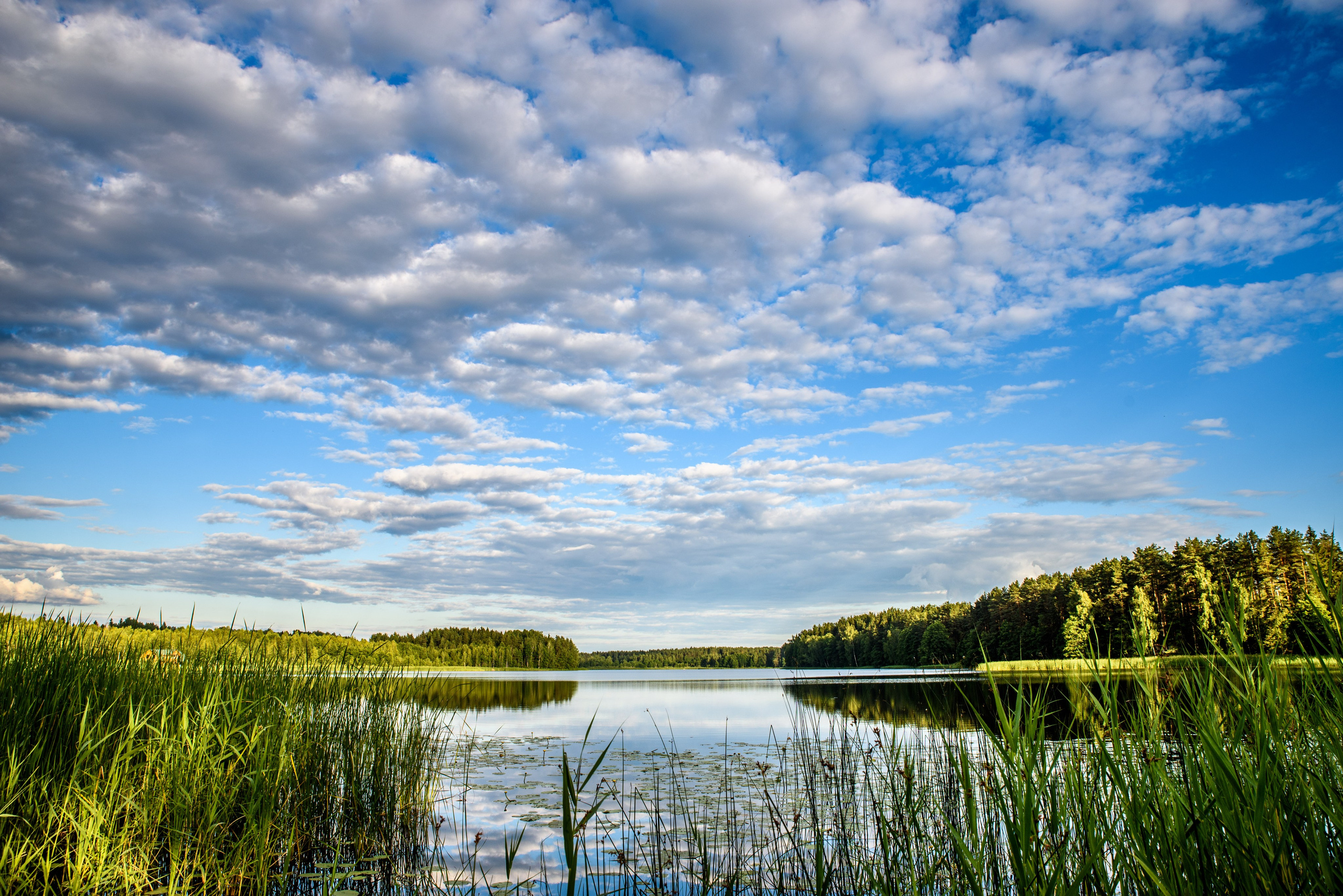 Nature. Ritvars Pujats Emotion Photographer