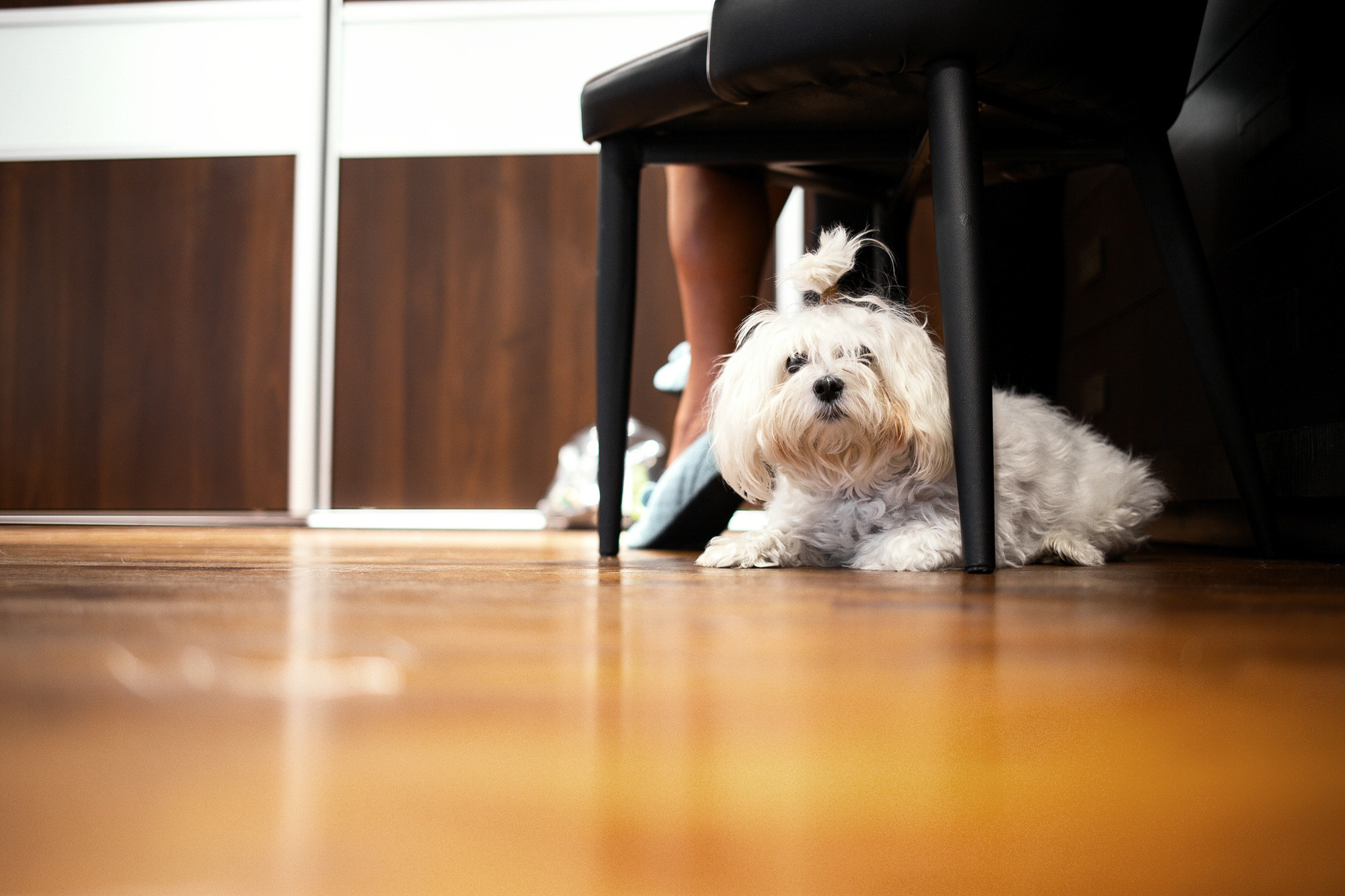 Wedding reportage | Alicja & Krzysztof. Dimitri Ilkov Photography — Capturing Life’s Moments in Edmonton, Cana