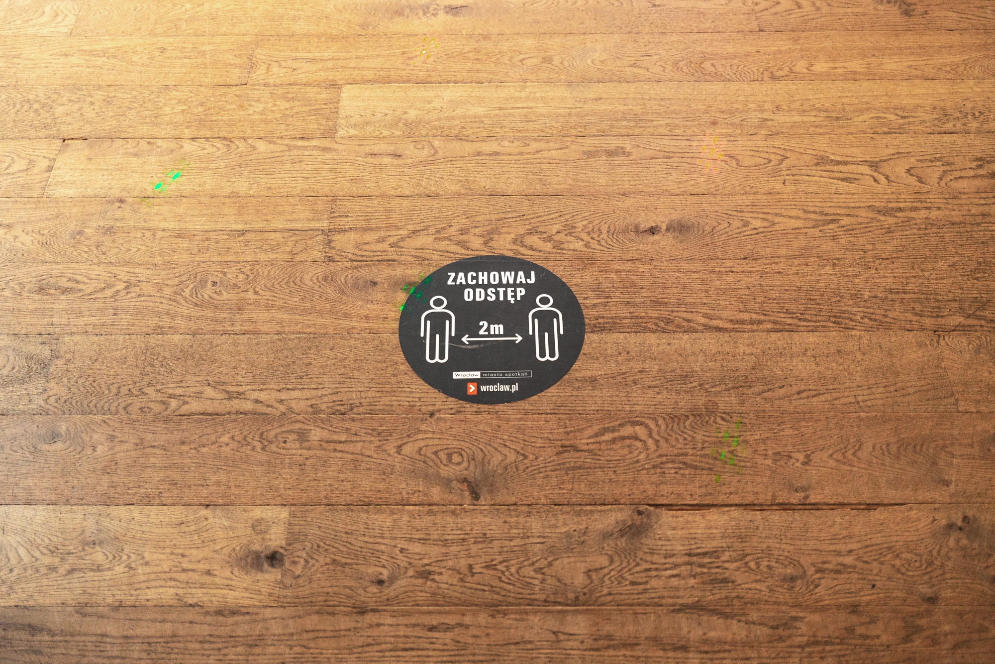 Wedding reportage | Łukasz & Izabela. Dimitri Ilkov Photography — Capturing Life’s Moments in Edmonton, Cana