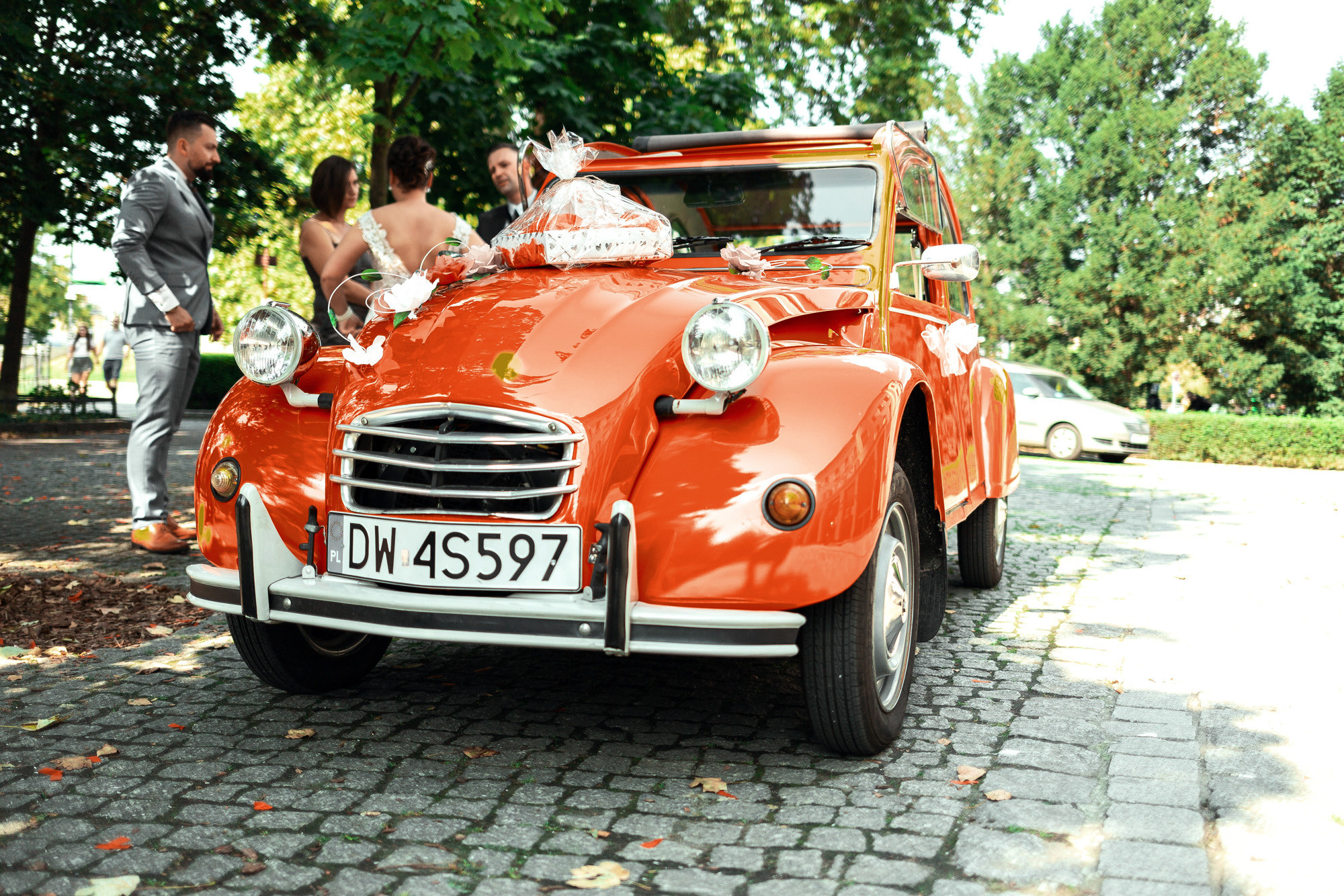 Wedding reportage | Łukasz & Izabela. Dimitri Ilkov Photography — Capturing Life’s Moments in Edmonton, Cana