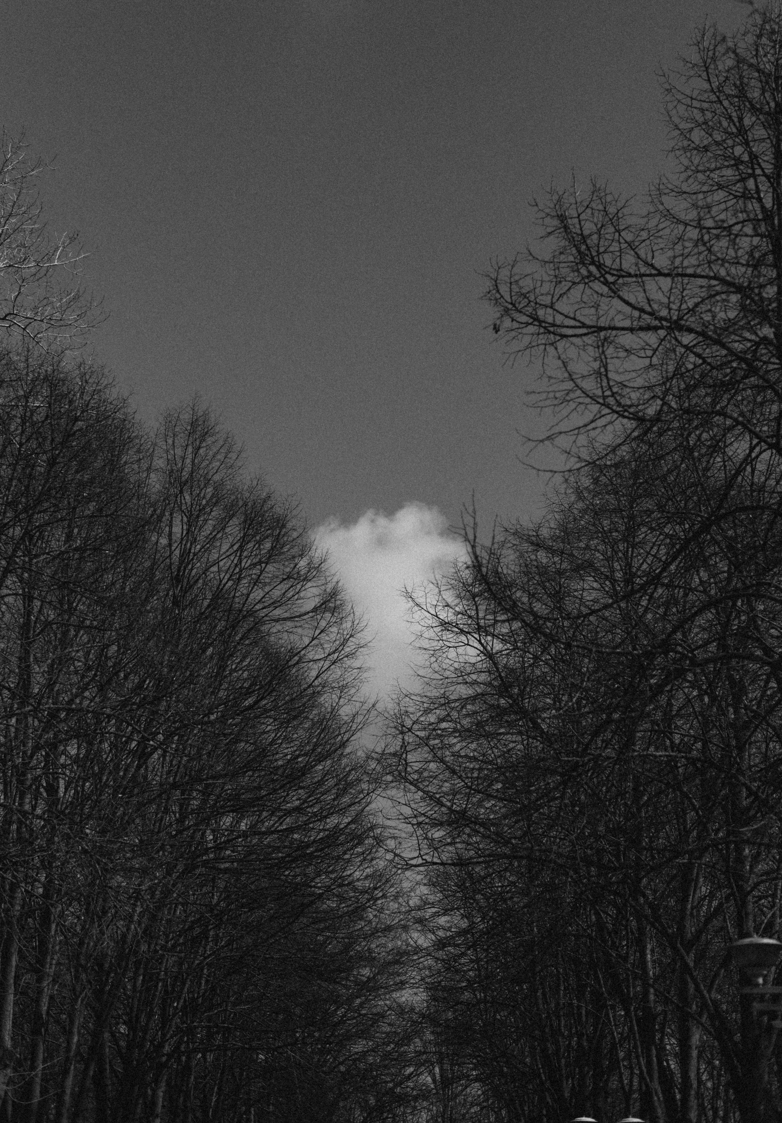 CAFE DEL PHOTO #95 «Солтберн». Школа Фотографии Романа Рыбалёва. Город Кишинёв, Молдова