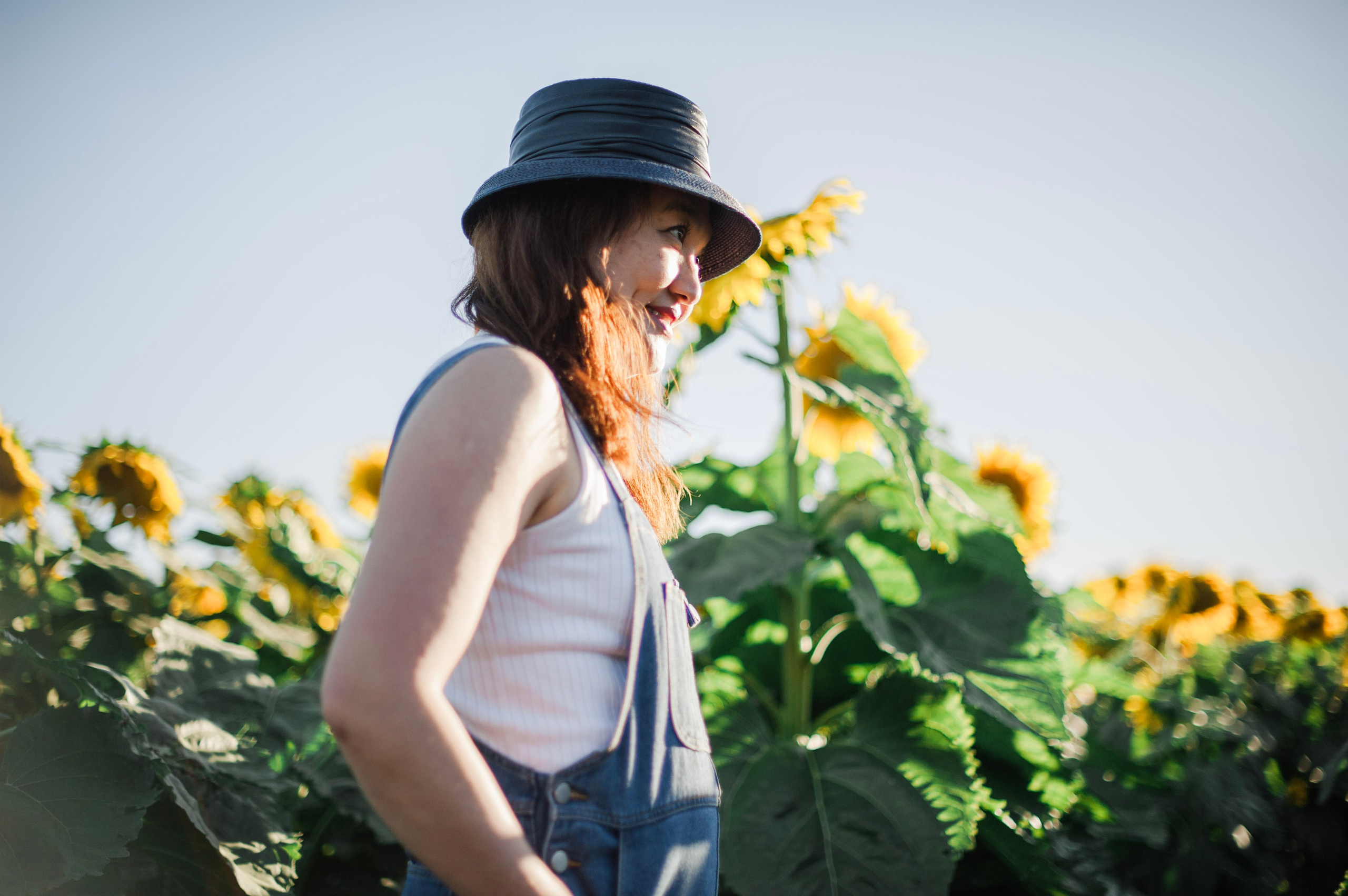 Bernice @ Sunflower Fields Sunset. Cindy Law | Vacation & Lifestyle Photographer in Melbourne