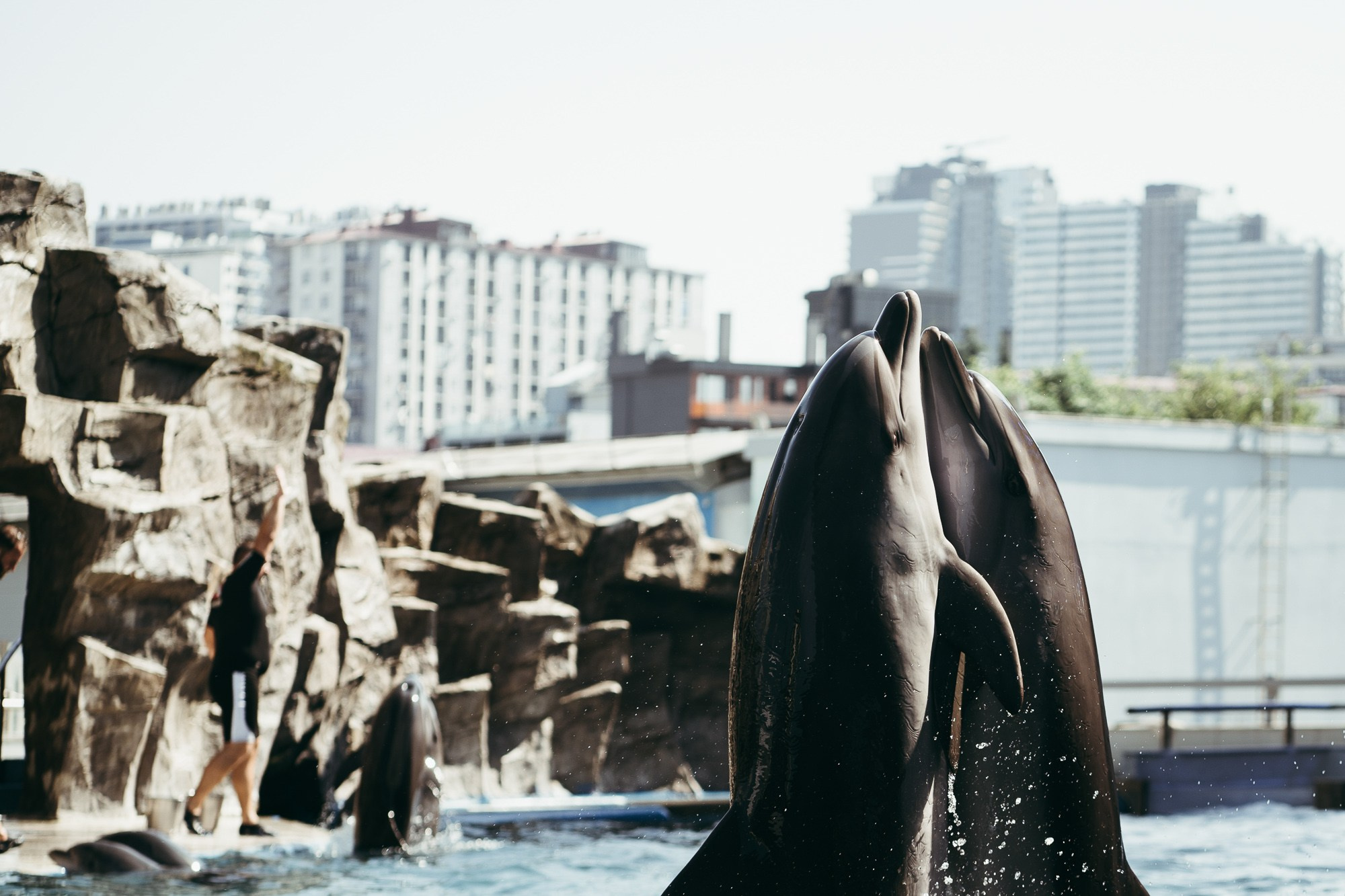 200 kilohertz. Stanislava Novgorodtseva — Photographer | Visual Artist | Educator