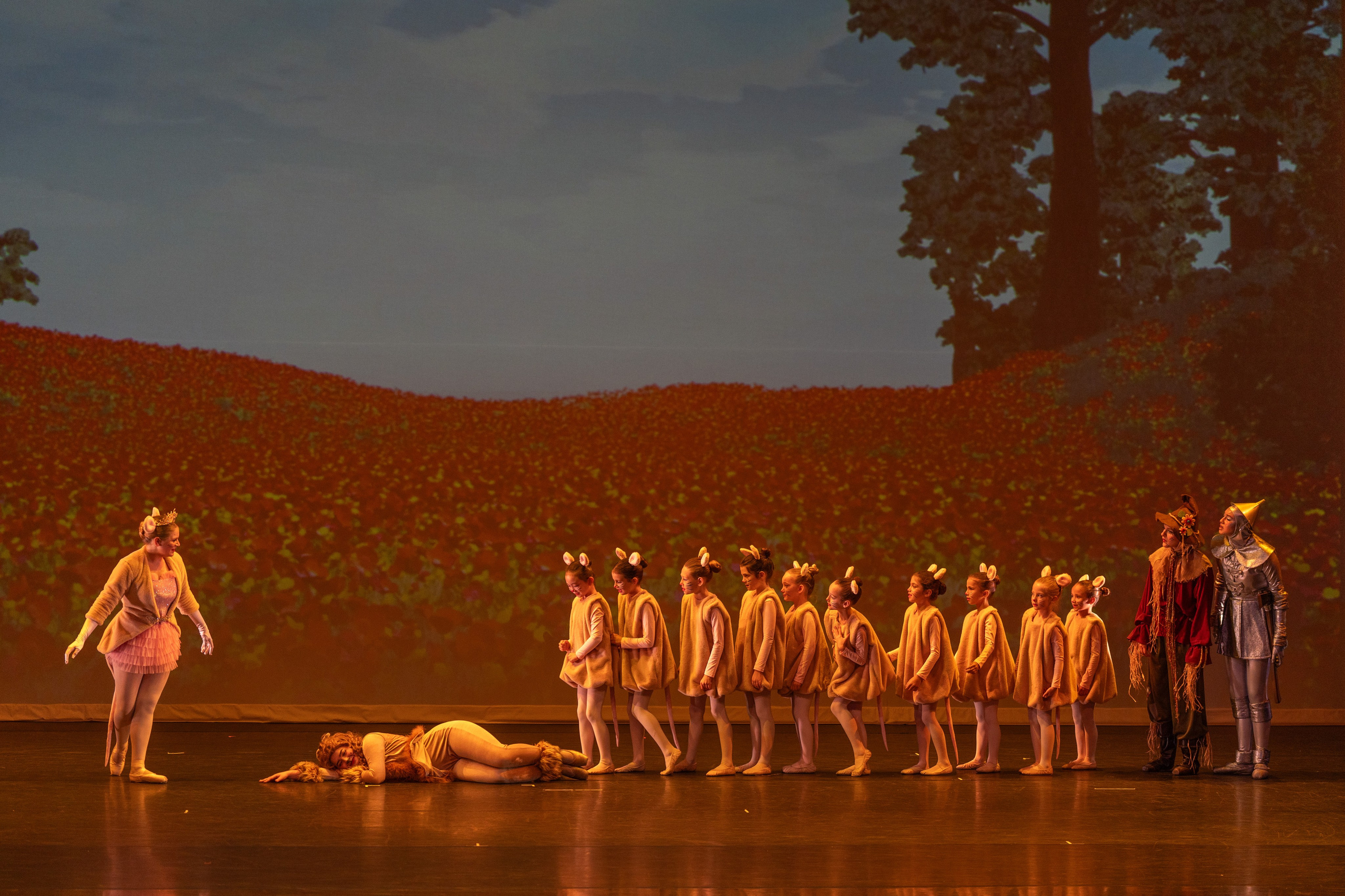 Ballet Photographer Los Angeles. Santa Clarita Photographer