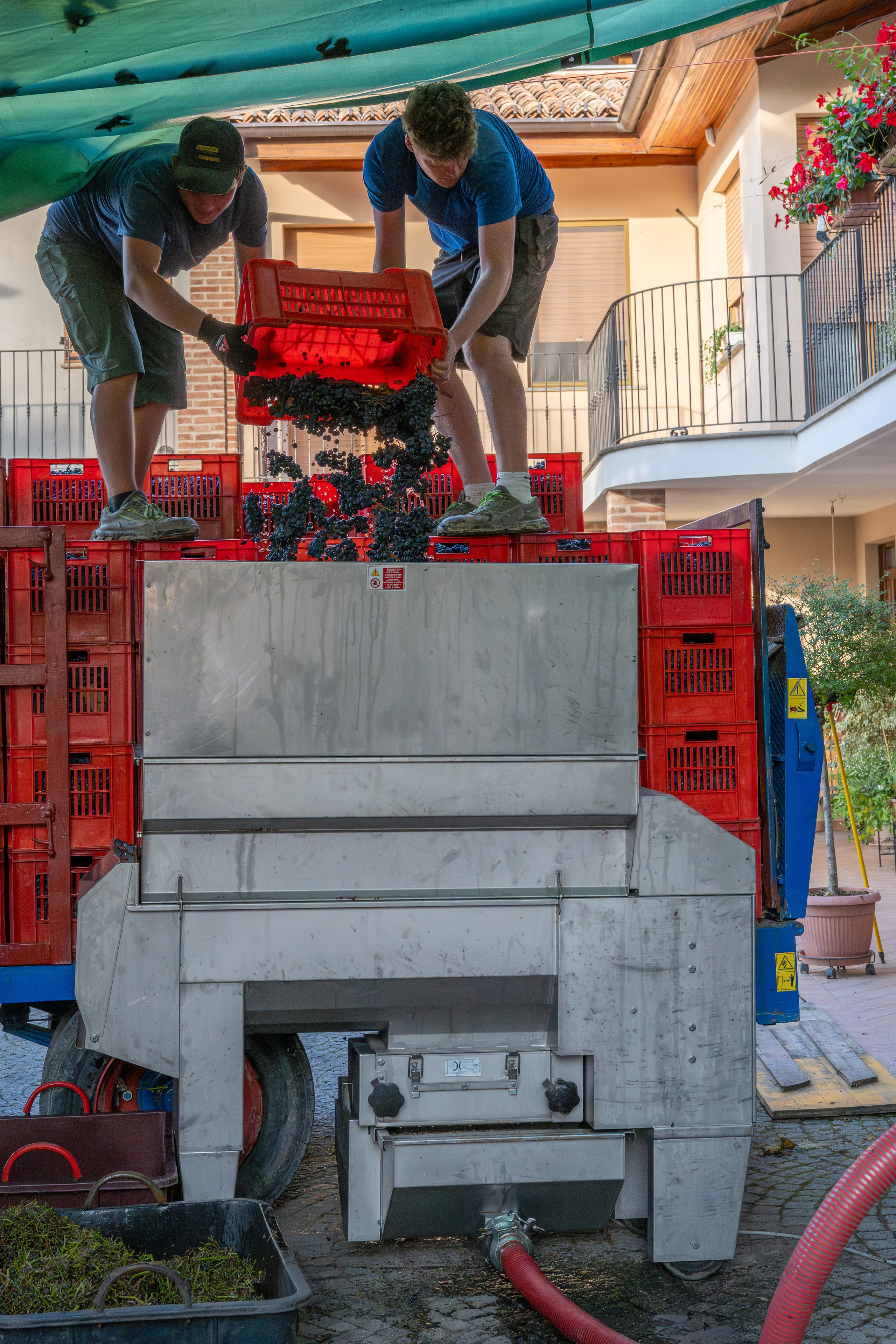 Cantine Boasso Serralunga. “Gianmaria Coscia fotografo per passione”