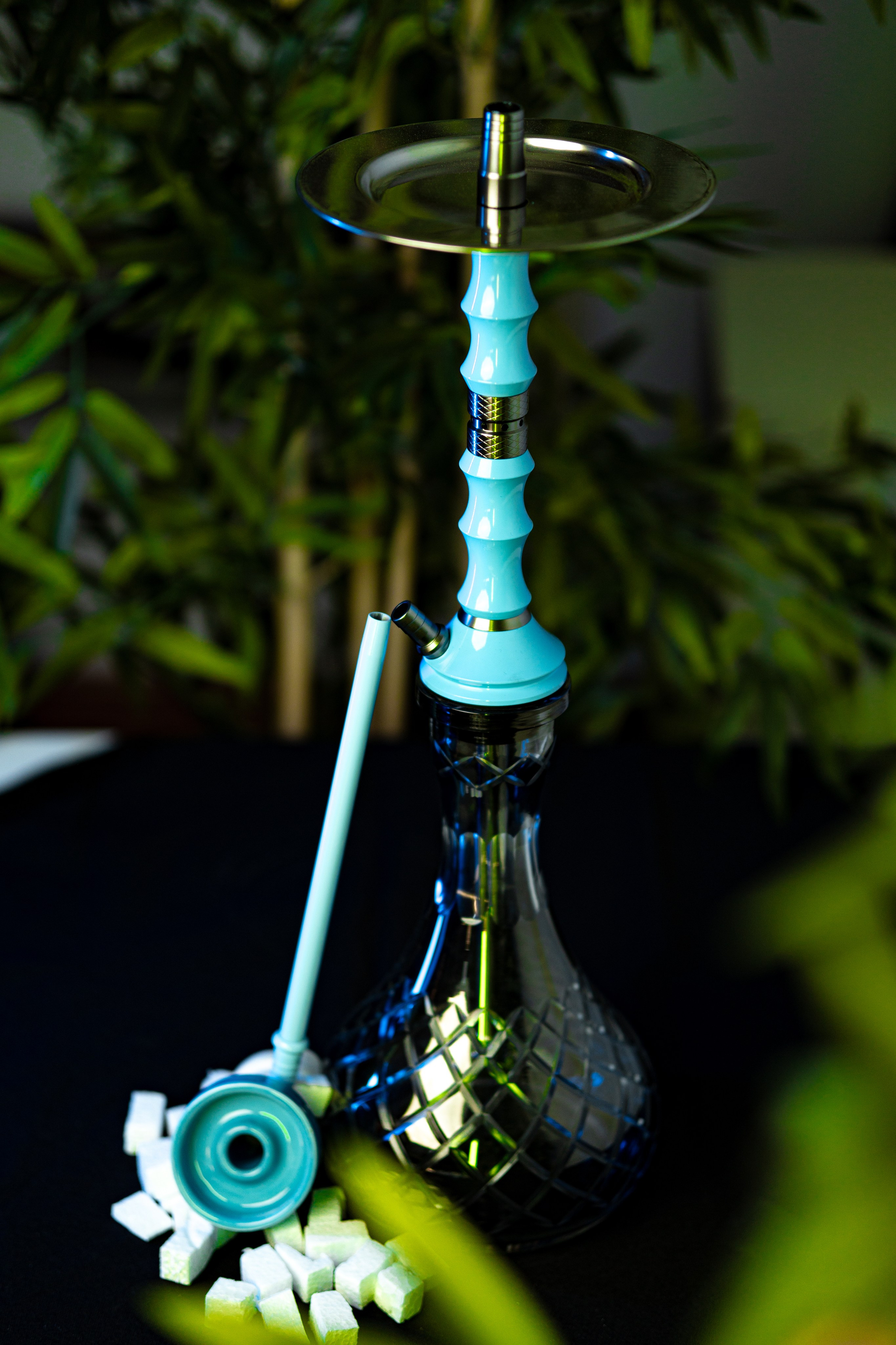 Cachimbas. Baby Beast