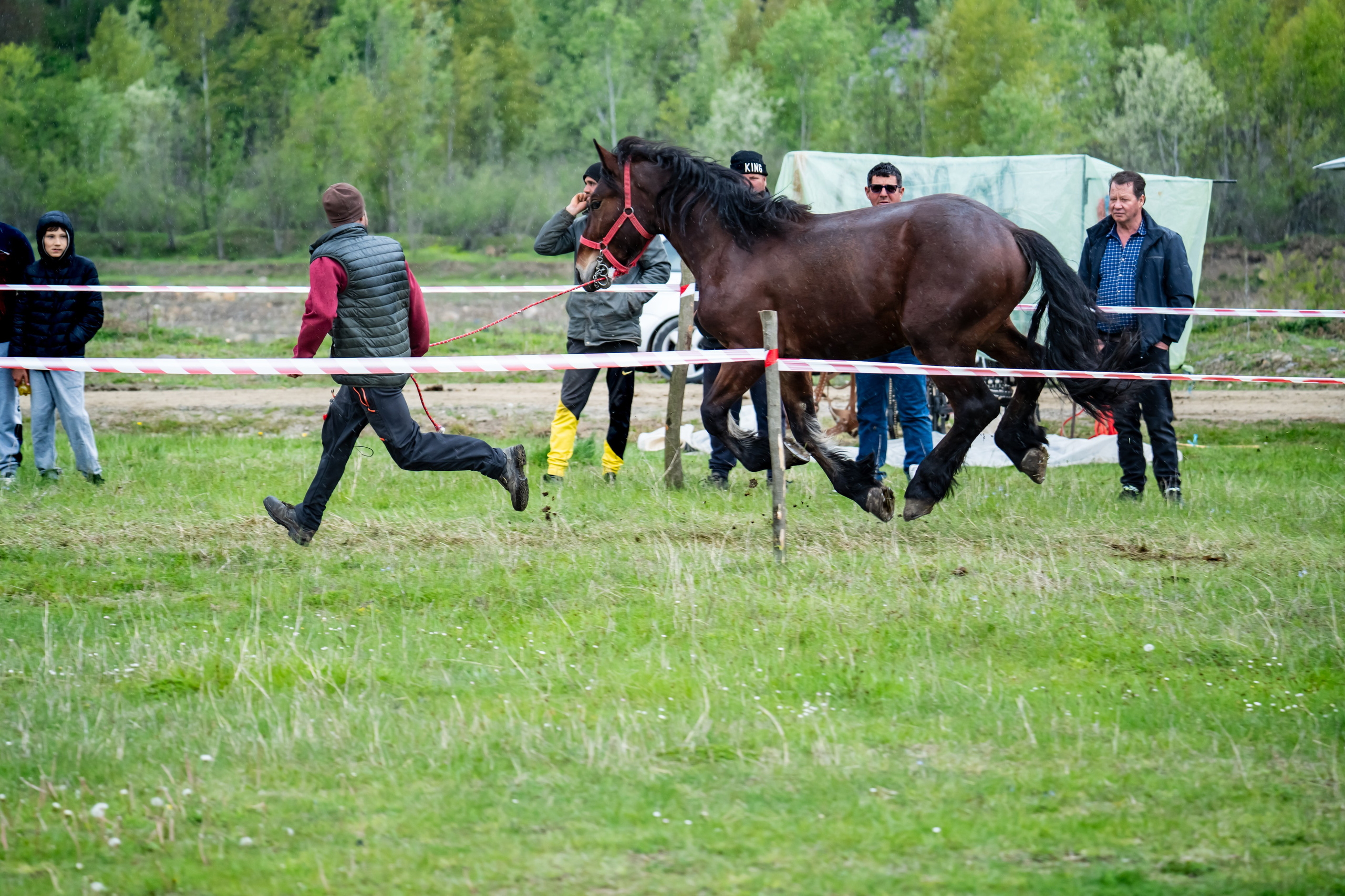 Concurs Ecvestru Vărbilău ediția a 4-a. Mihai Alexandra Events