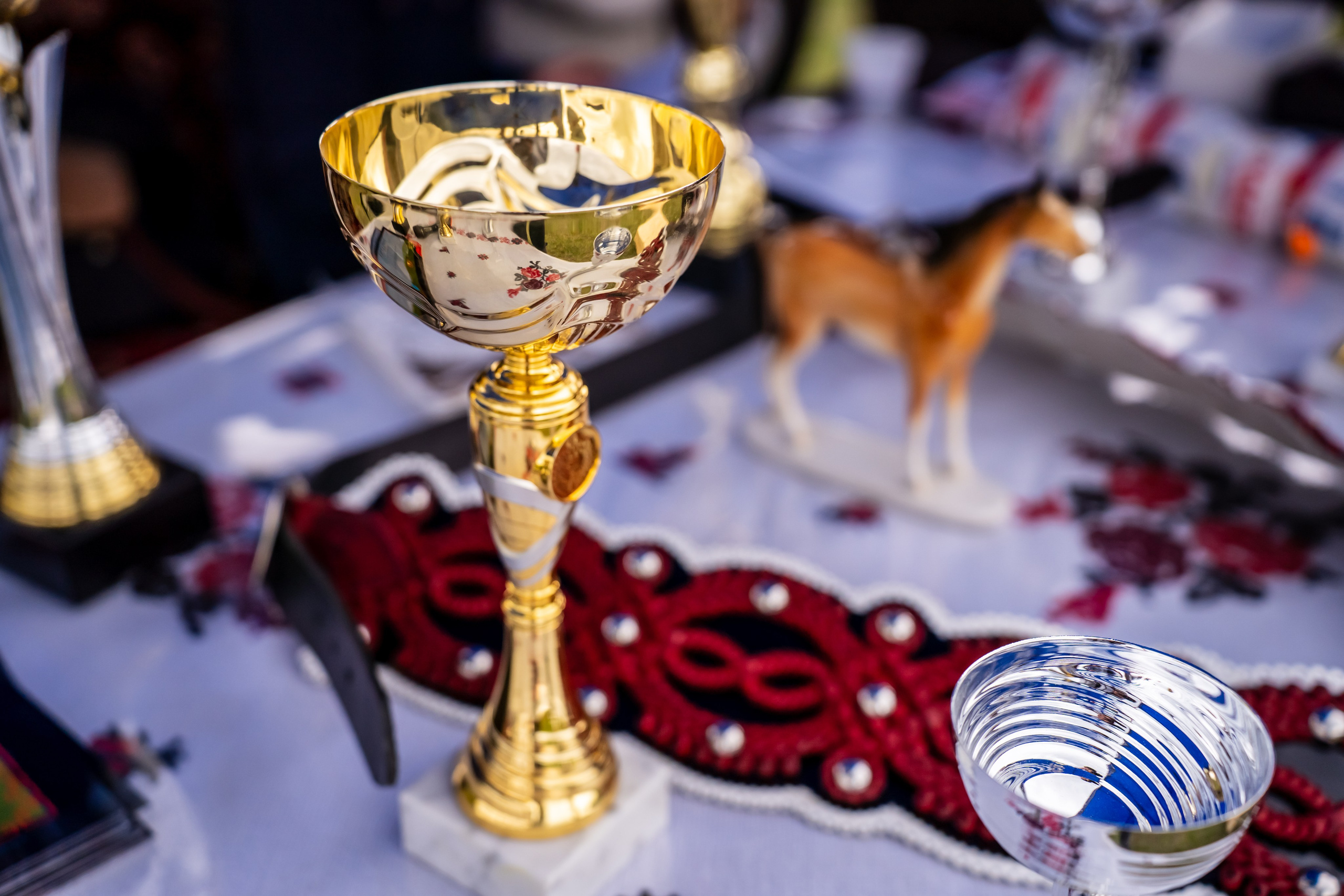 Concurs Ecvestru Vărbilău ediția a 4-a. Mihai Alexandra Events