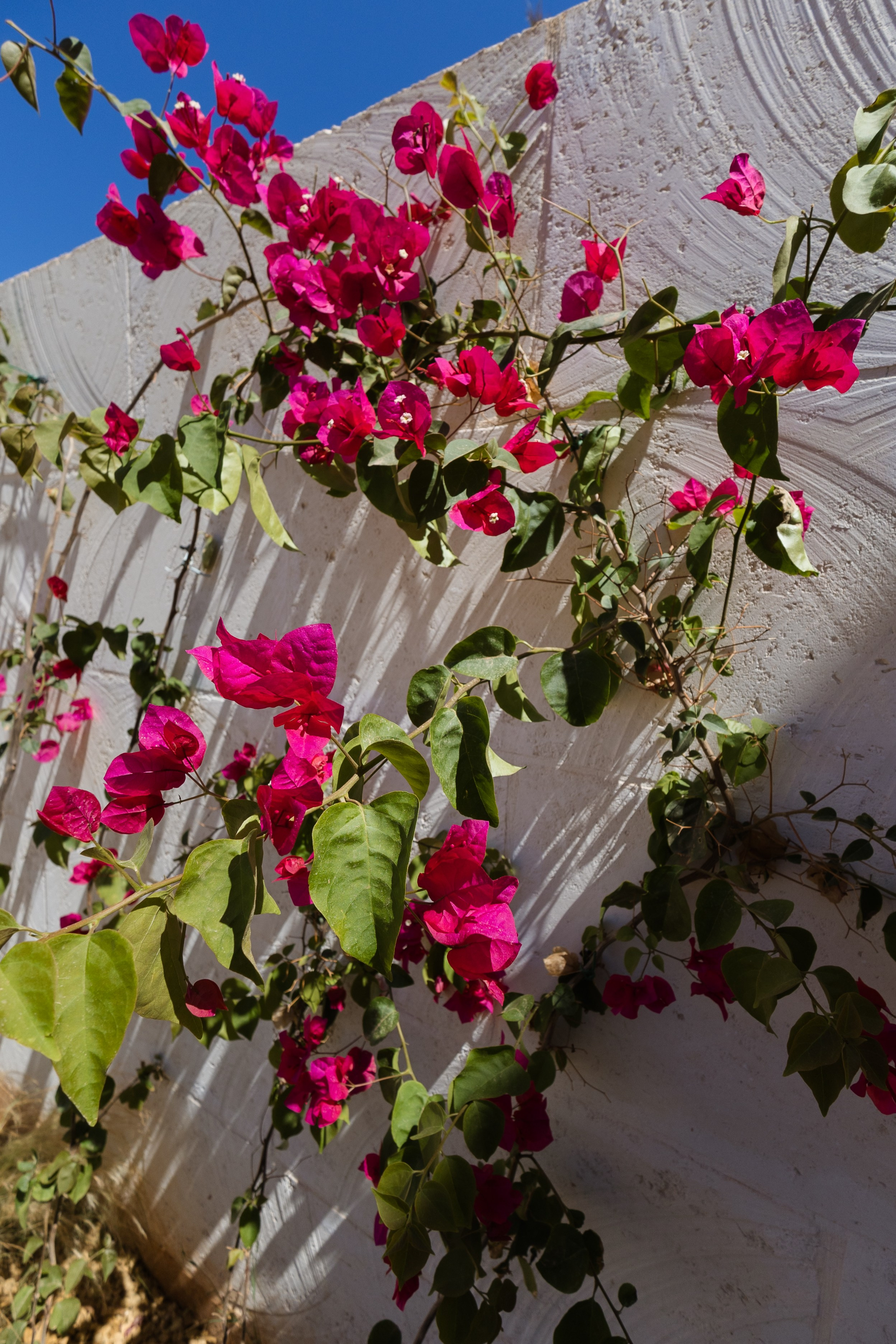 Immobilien - Finca Mallorca - Ses Salines. Viktoria Motte Fotografie Event-, Business- und Porträtfotografie Stuttgart | Mallorca