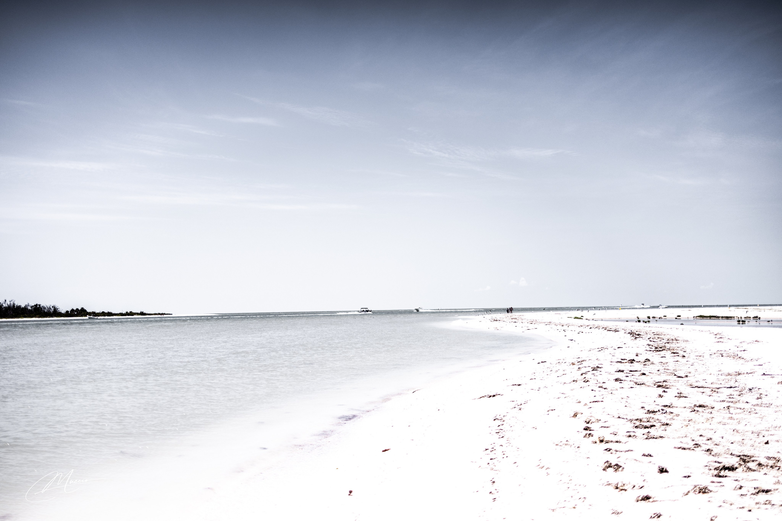 Florida Man — Fort Myers Walkabout. Out and About 239