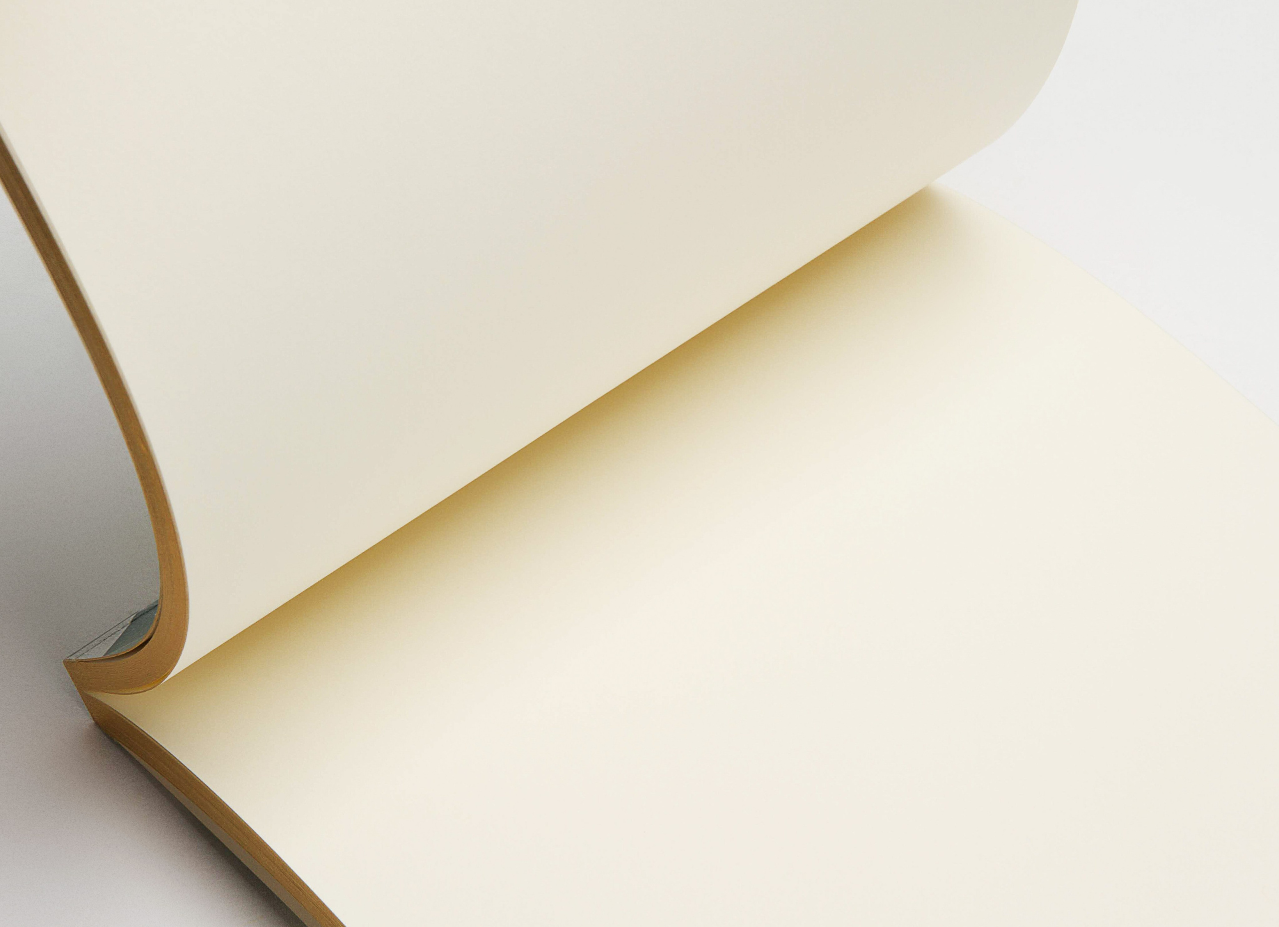 Предметная съемка. Фотограф Абдршин Валерий