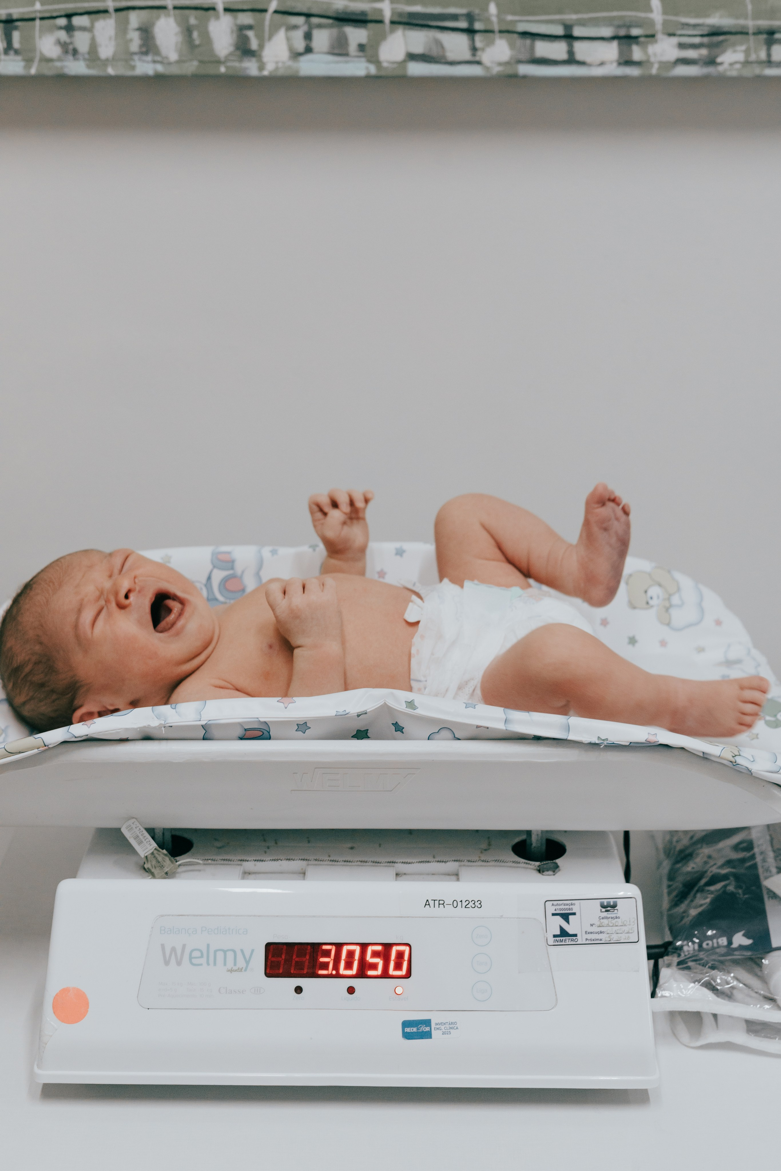 Nascimento Maria Cecília