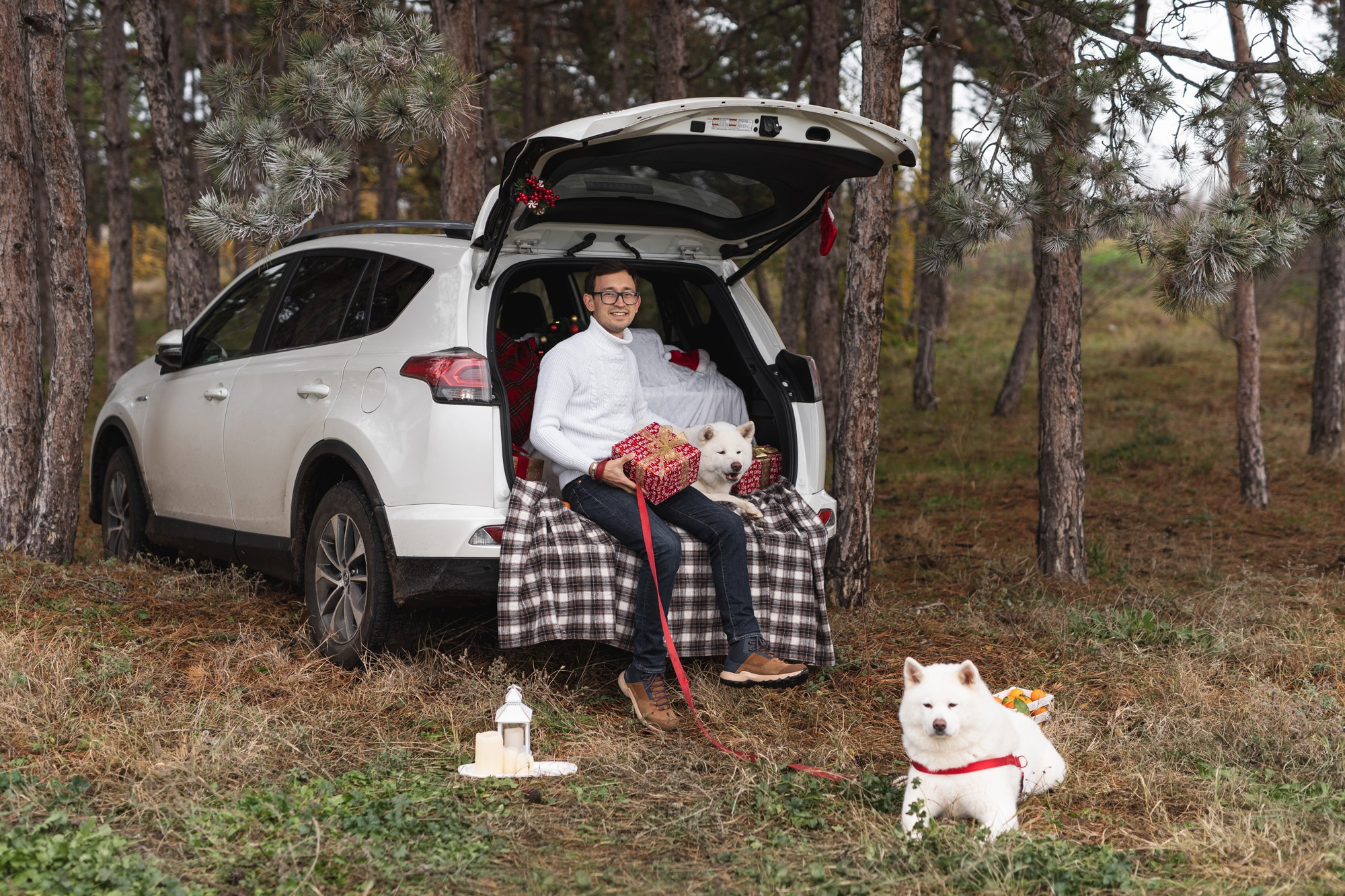 Lime hub. Fotograf in Bulgarien Katerina Zubkova