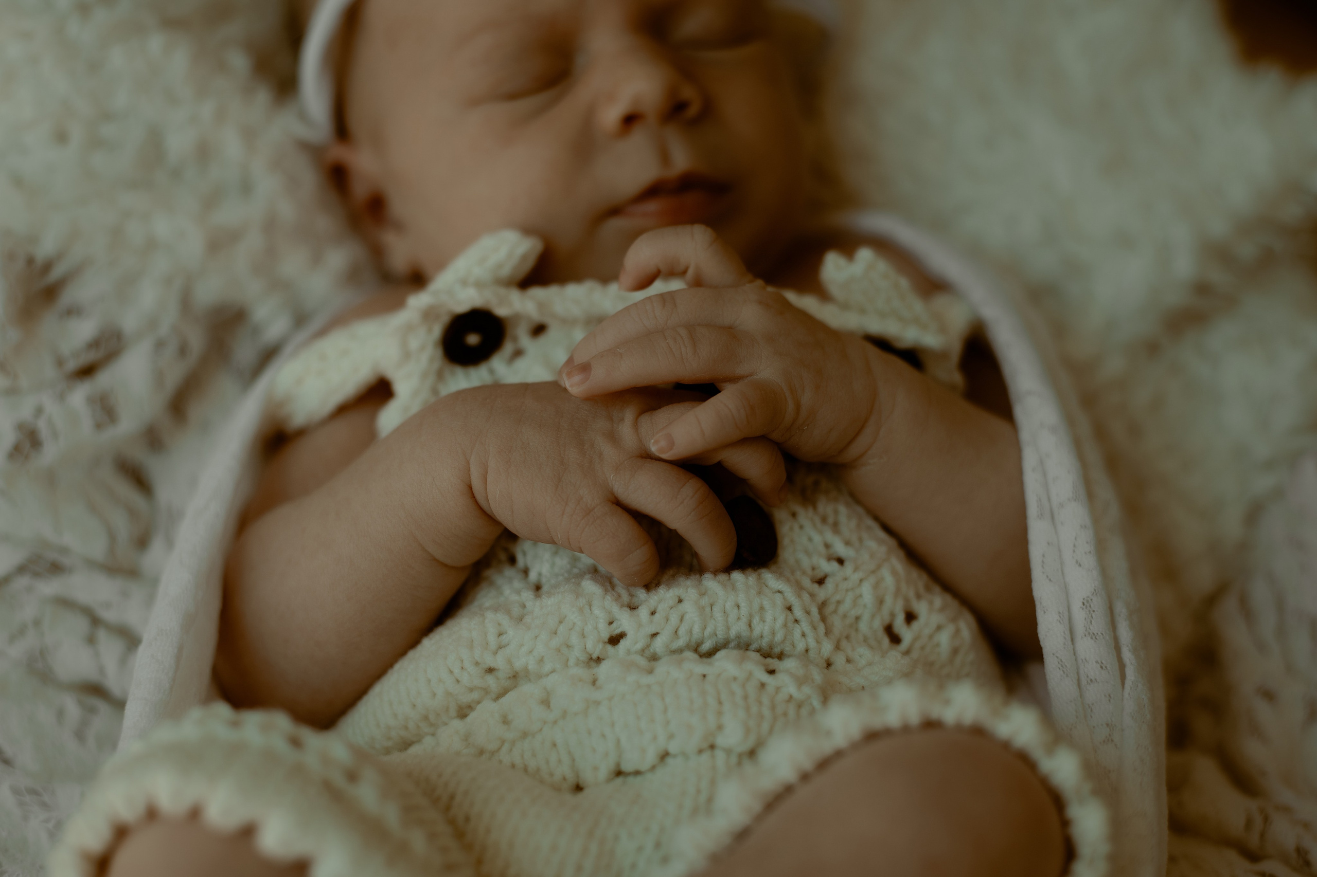 Newborn. Wedding & Family photographer Jelena Anđelić