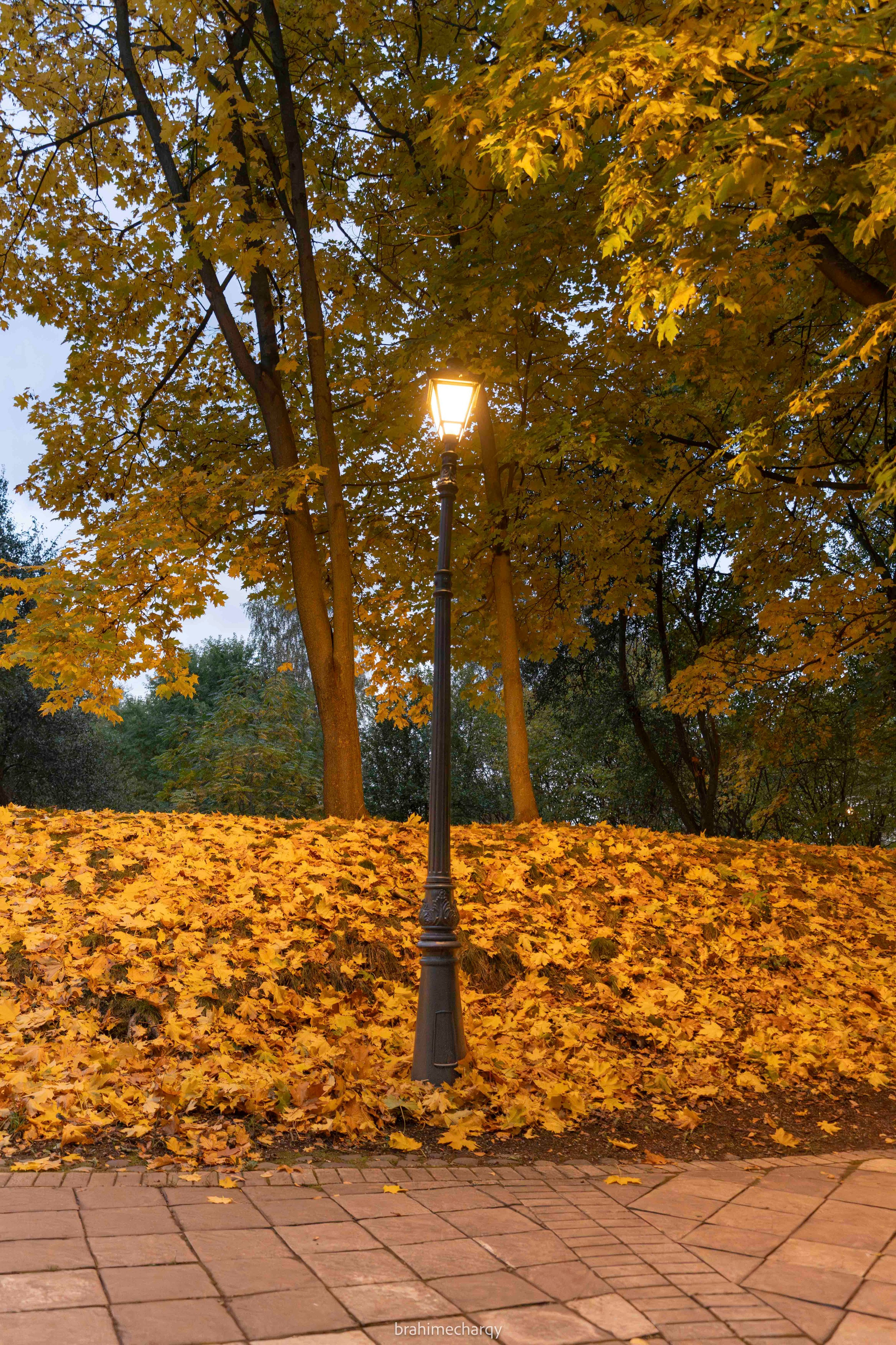 Фото. Брахим — фотограф