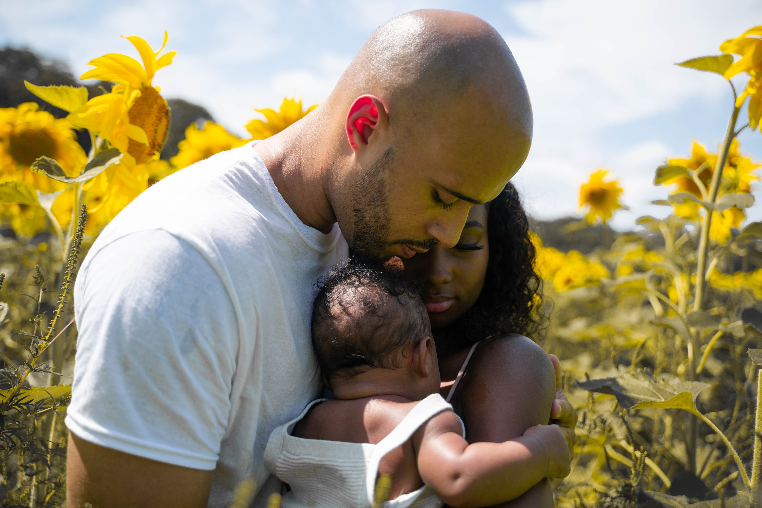 Jennifer and Louis at Sunflowers Farm. Stefanovich Photography | Boston, MA