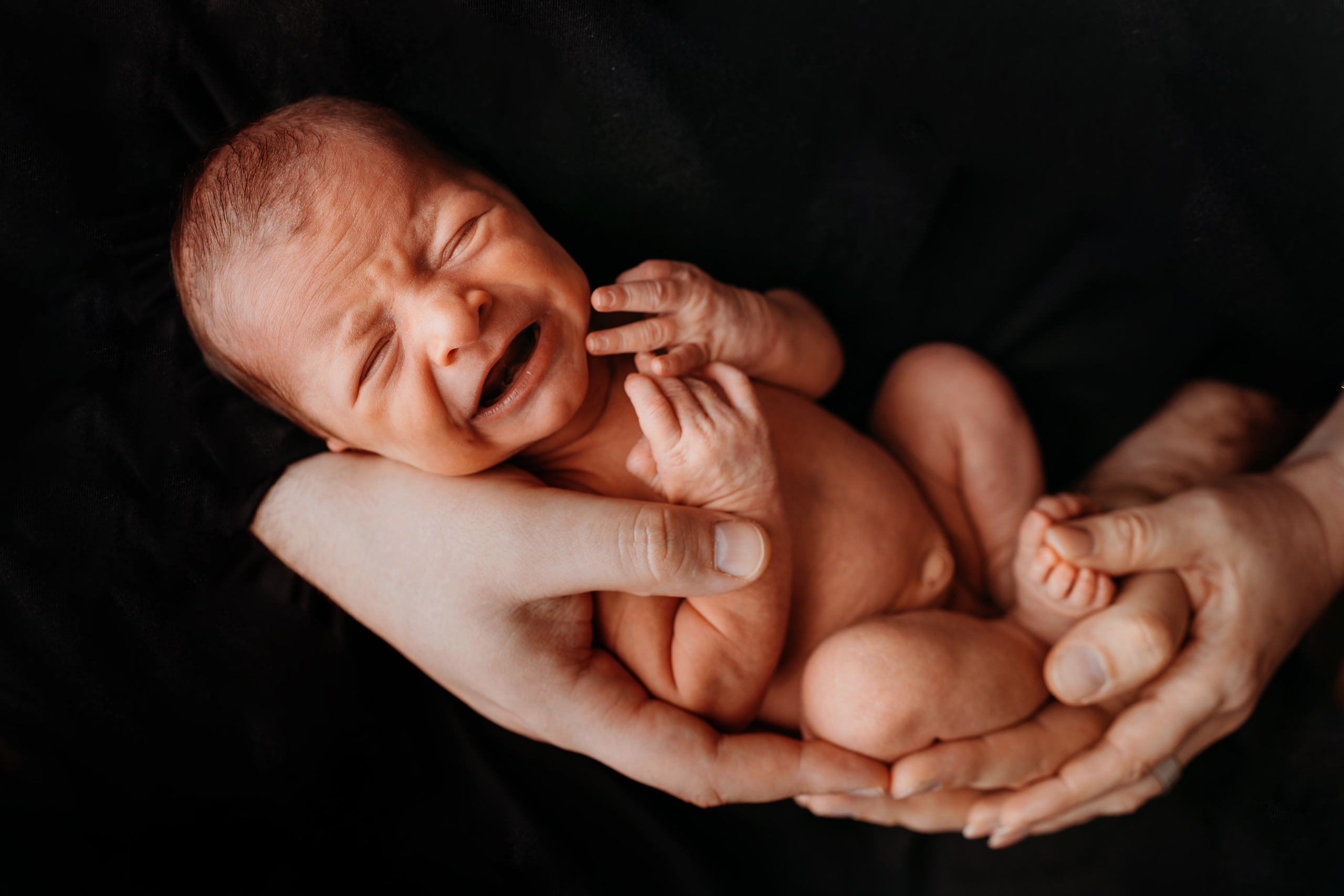 Ханна. Фотограф новорожденных и детей первого года Евгения Михалькевич