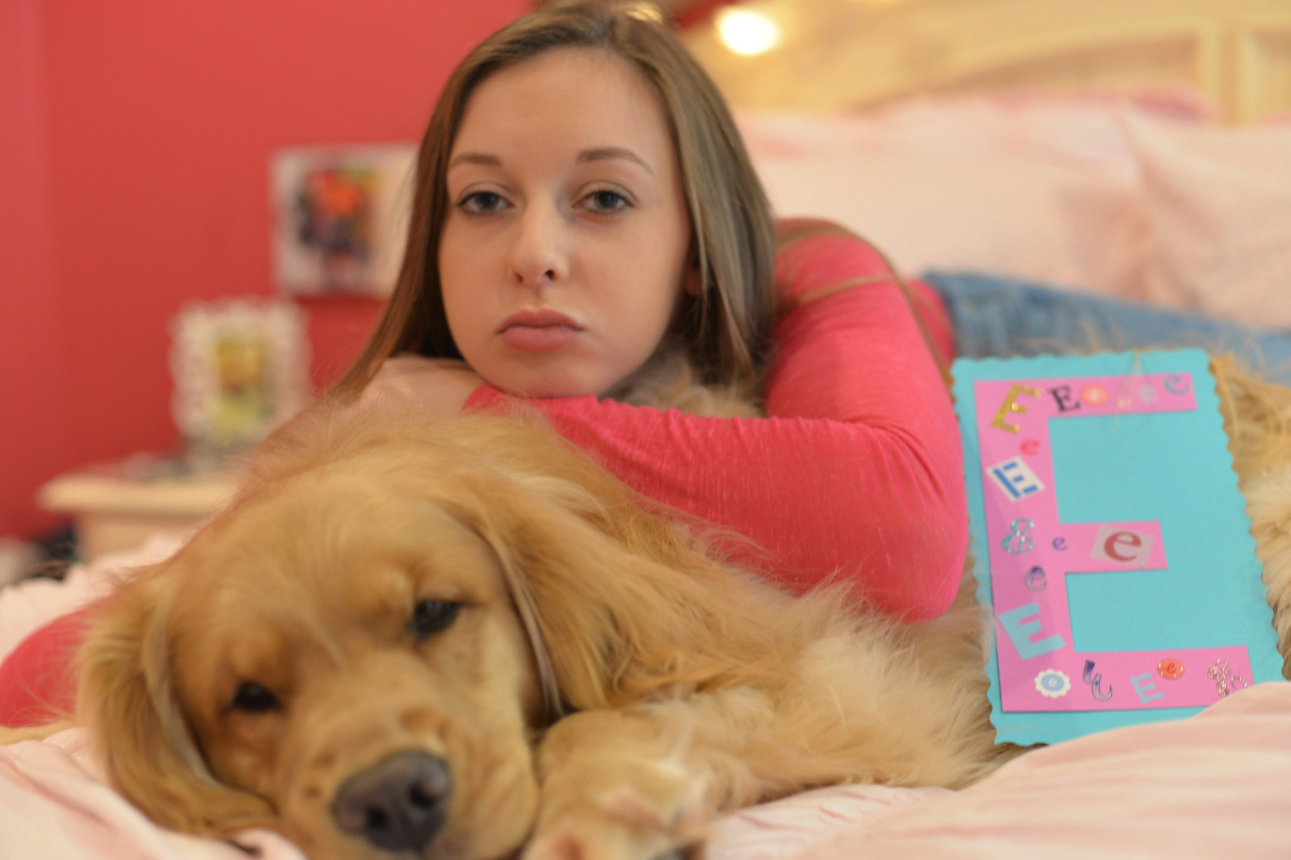 Animal de Compagnie. Studioplaza8