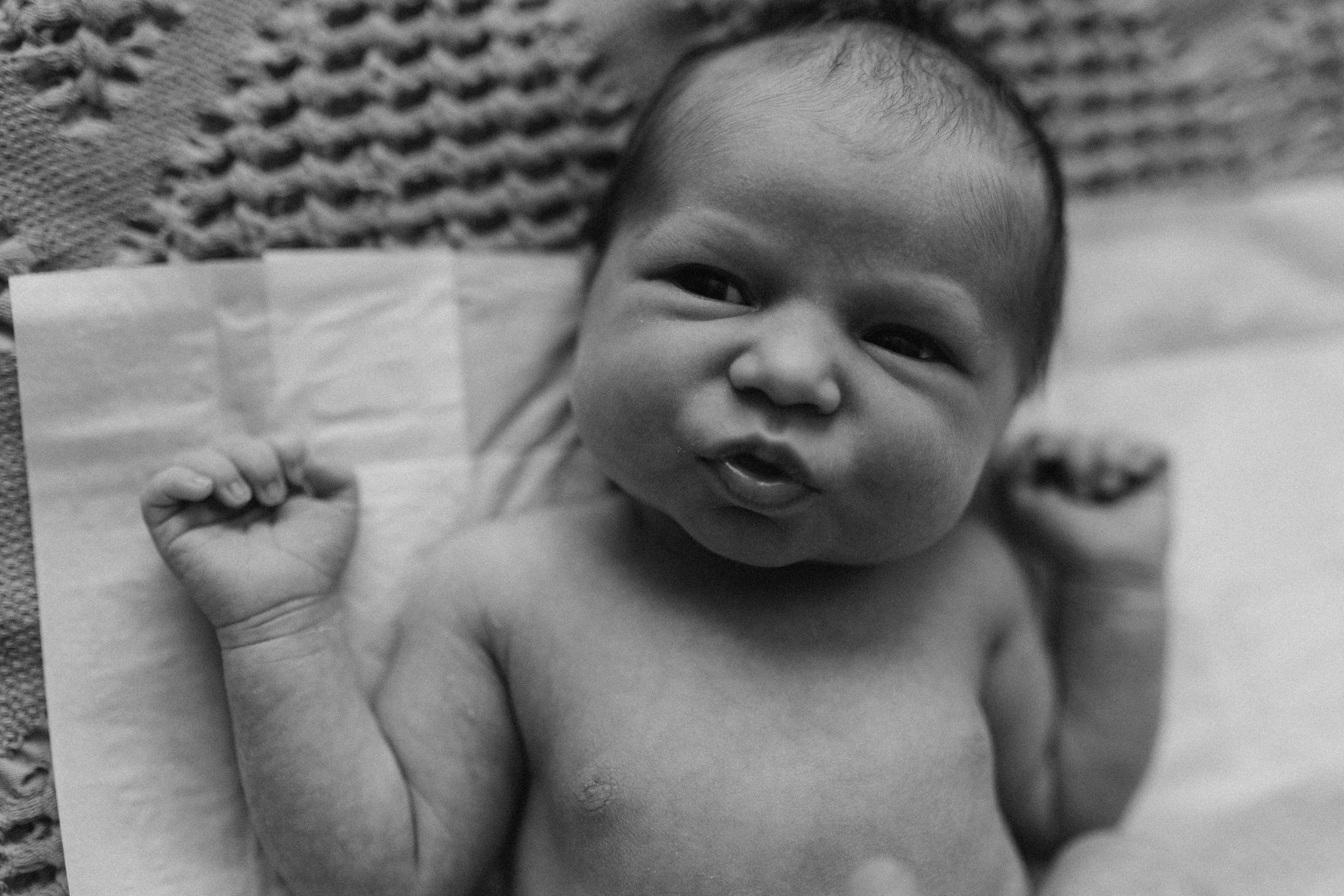 Luna 7 days. Fotografa de família e crianças em Florianópolis SC Daria Ermolaev