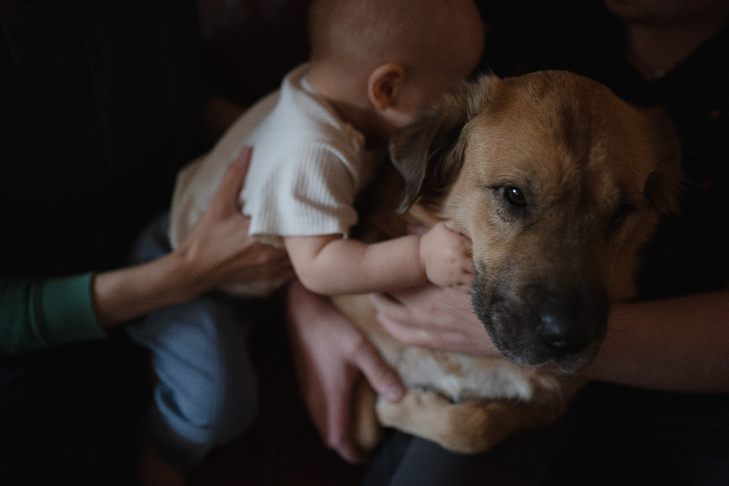 Alena, Vlad and their son Lev. Main