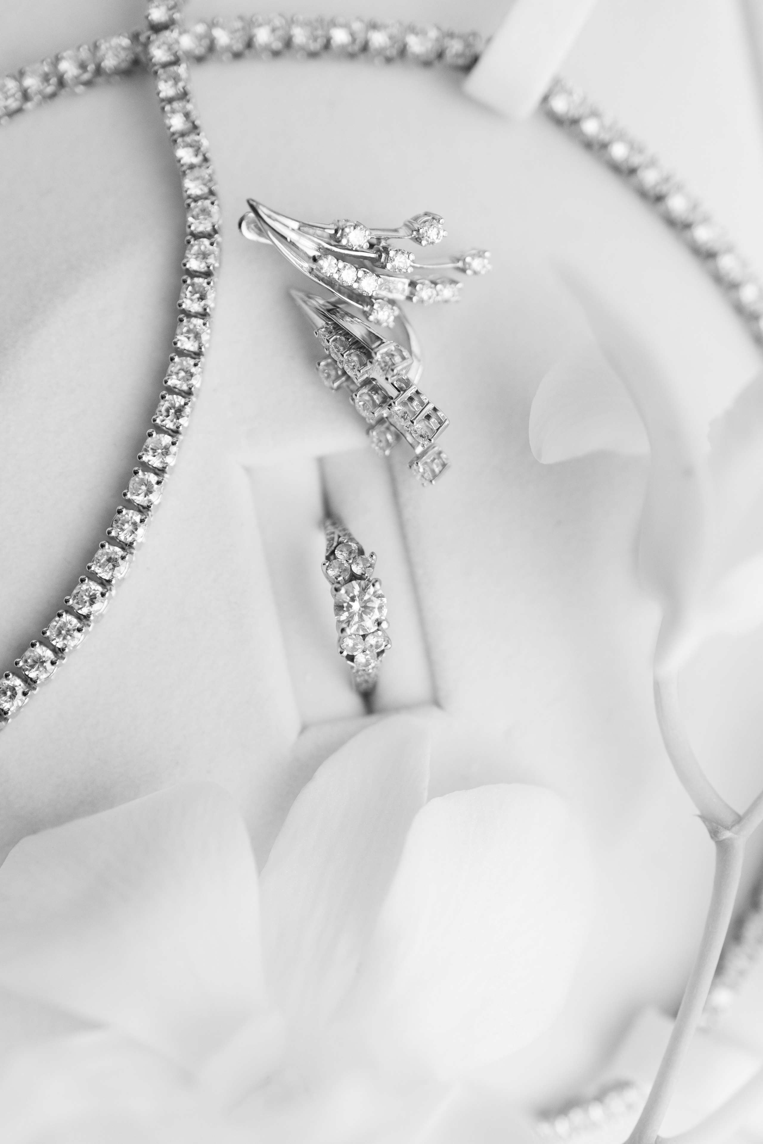 Daniella & Gurshum Wedding, Miami FL. Wedding Photo & Video