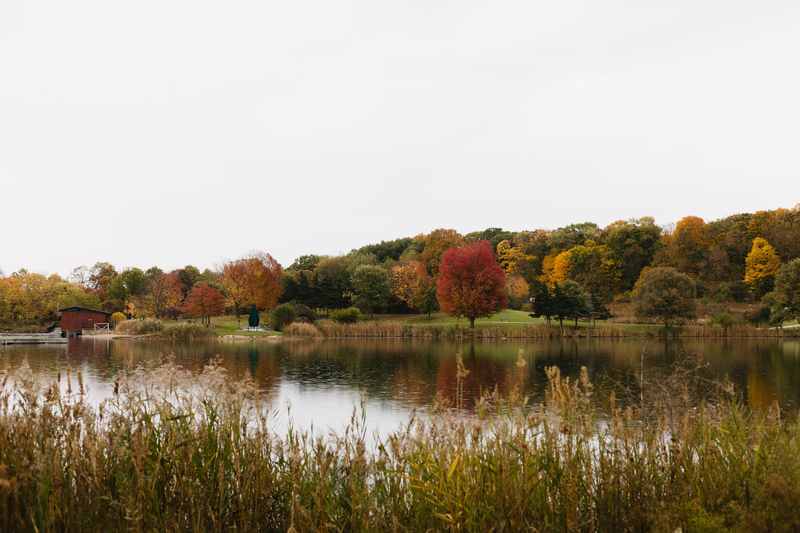Independence Grove Park Proposal — Illinois Photographer — Margarita Chudinova
