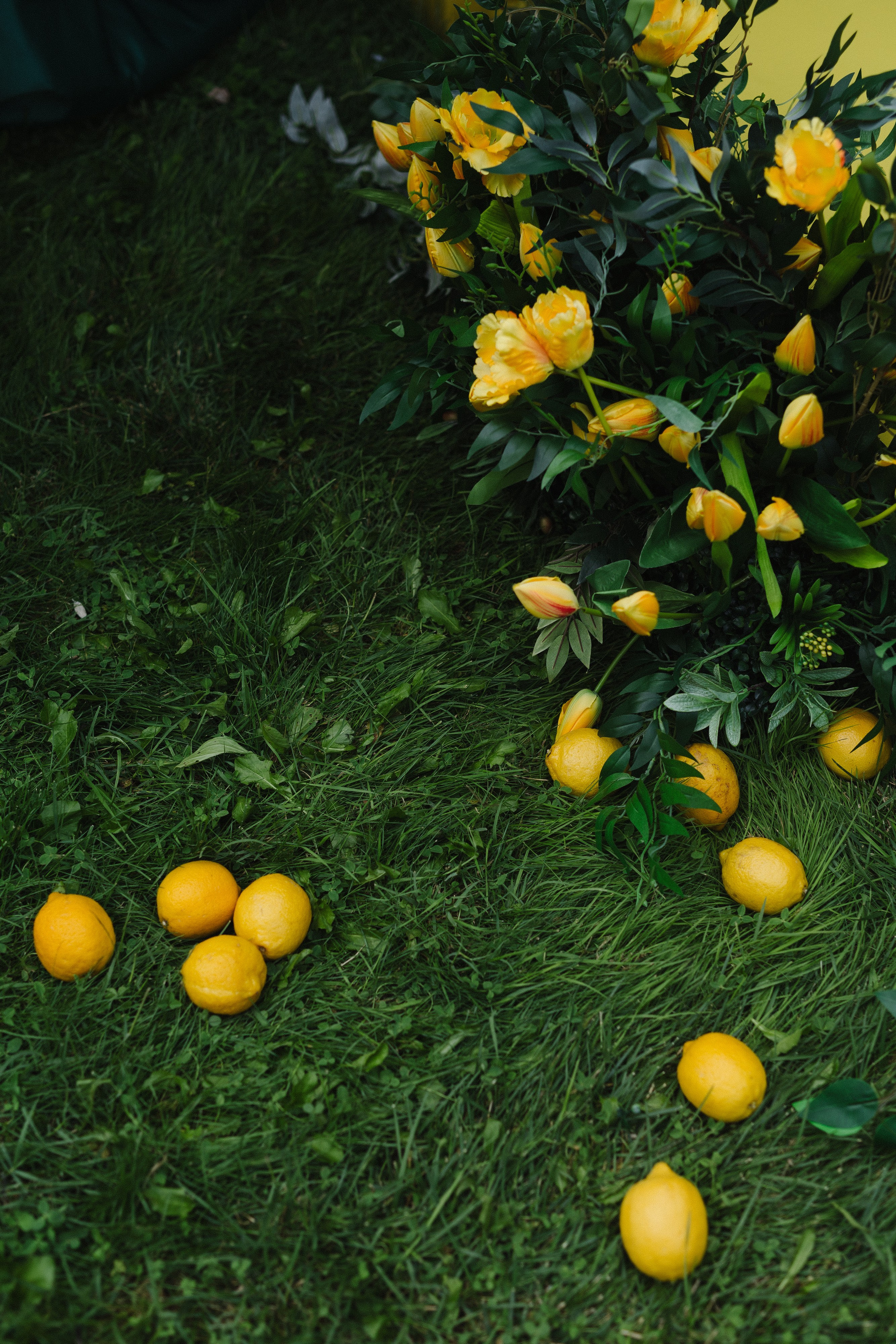 Алмаз и Алина. Азимжан Нуритдинходжаев — свадебный фотограф