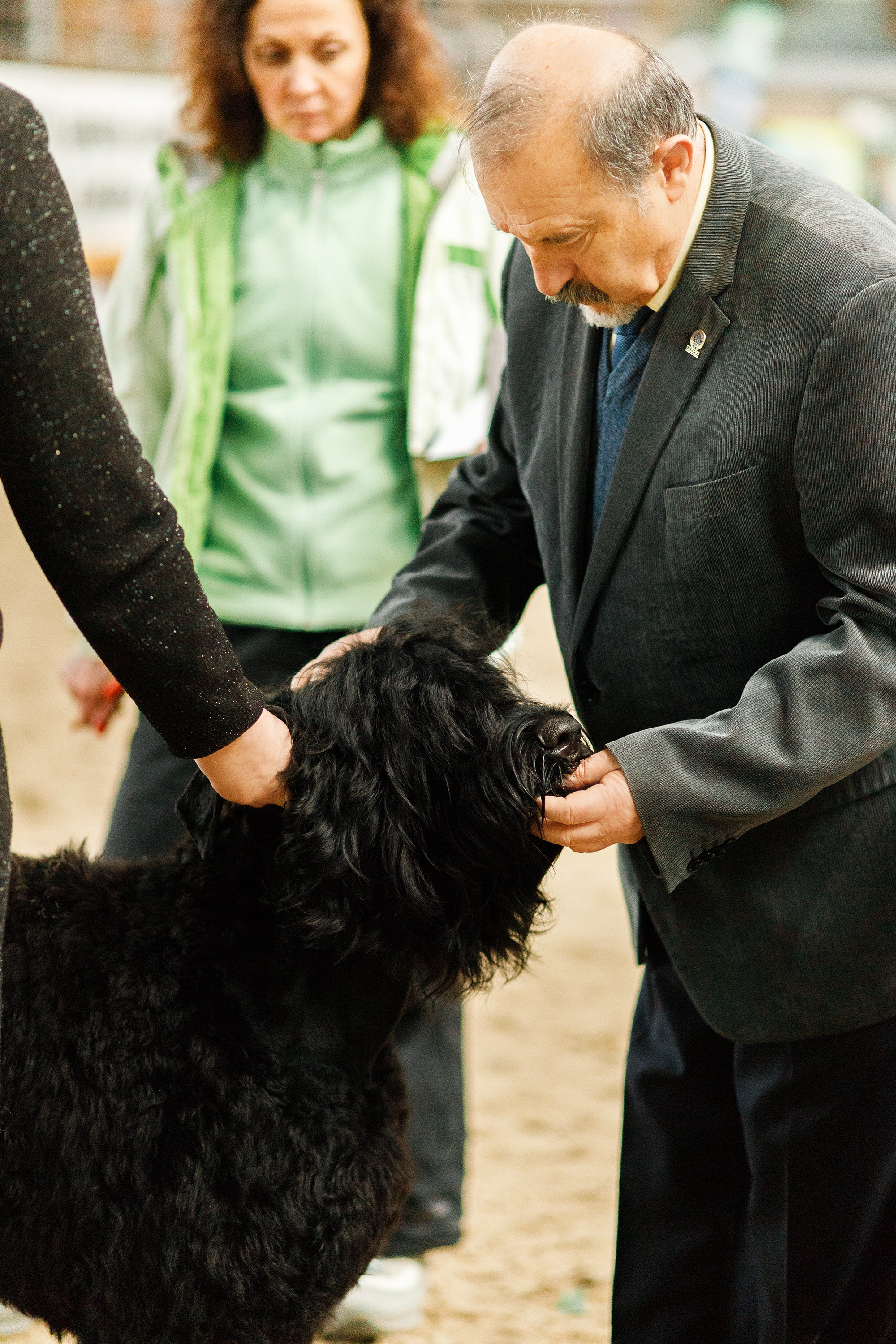 Dog shows | the best ones. Kaja | fotograf psów we Wrocławiu