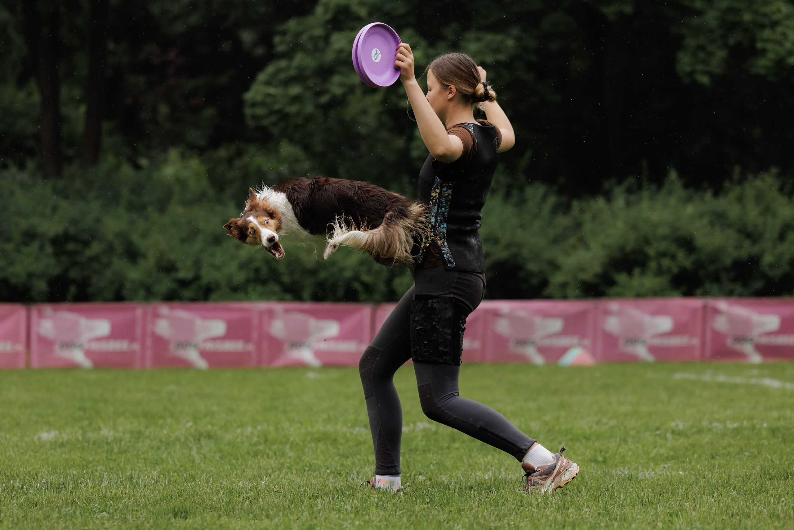 Latające psy, Wrocław'25. Kaja | fotograf psów we Wrocławiu
