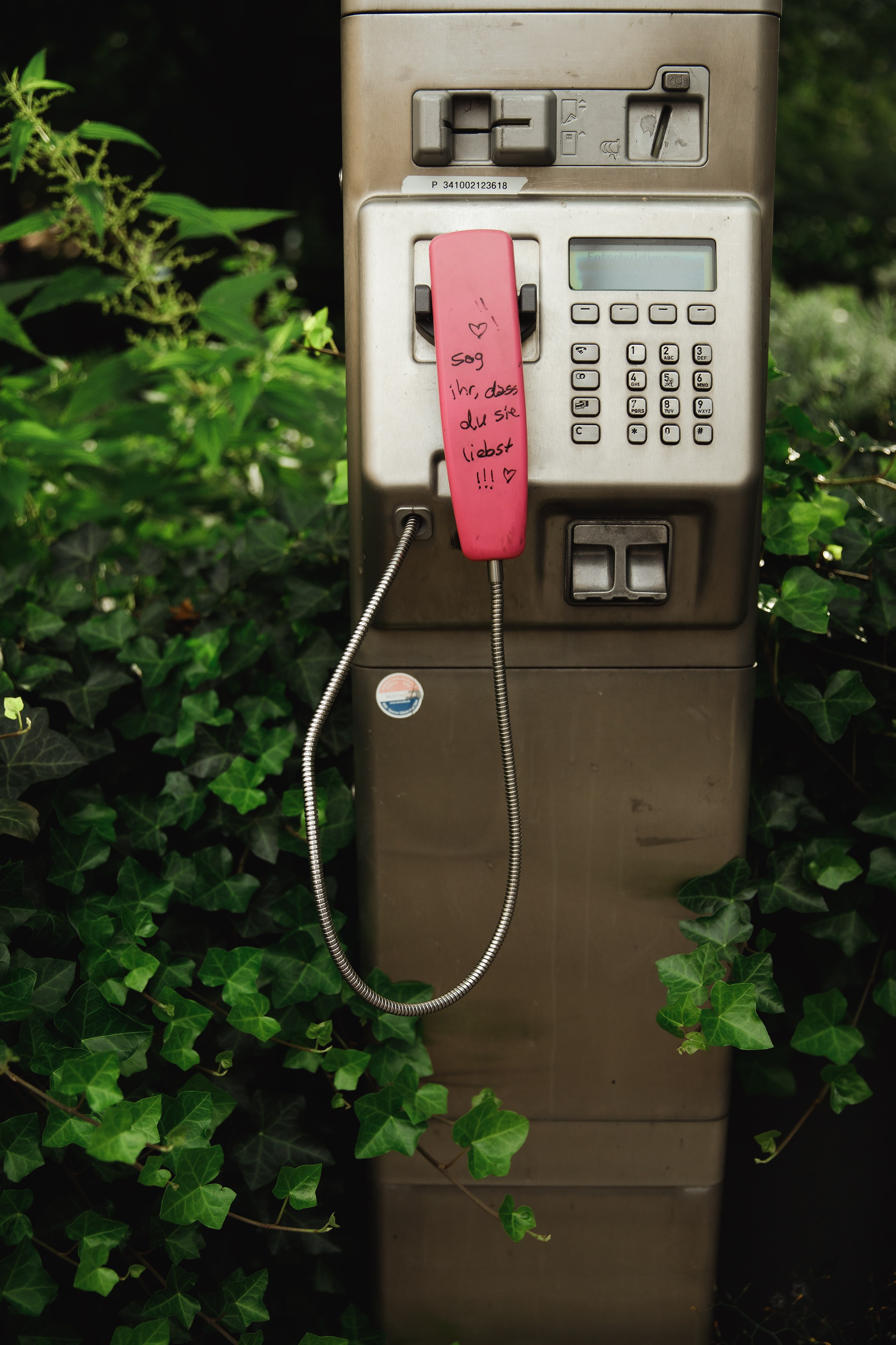 Astra in Leipzig. Kaja | fotograf we Wrocławiu | ludzie i psy