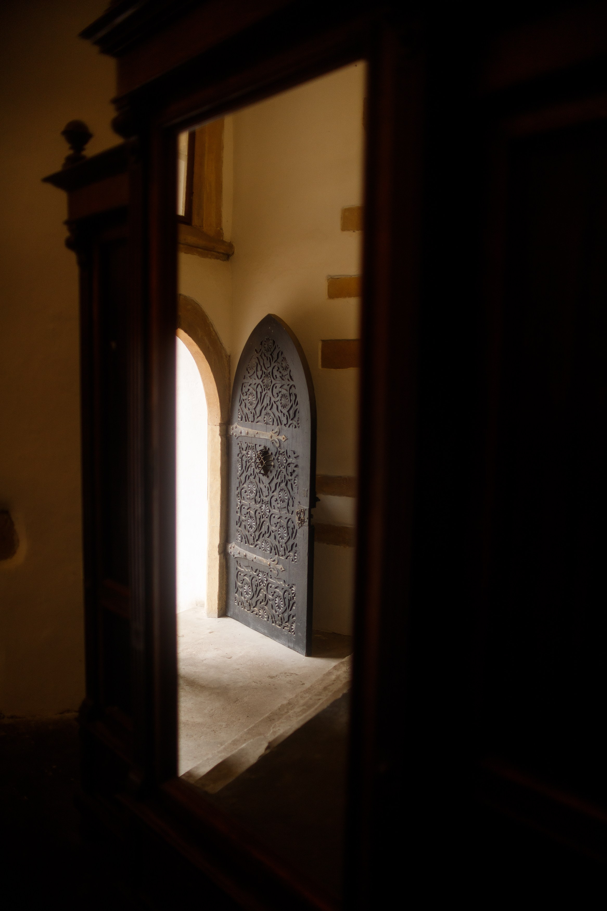 Zamek Grodziec. Kaja | fotograf psów we Wrocławiu