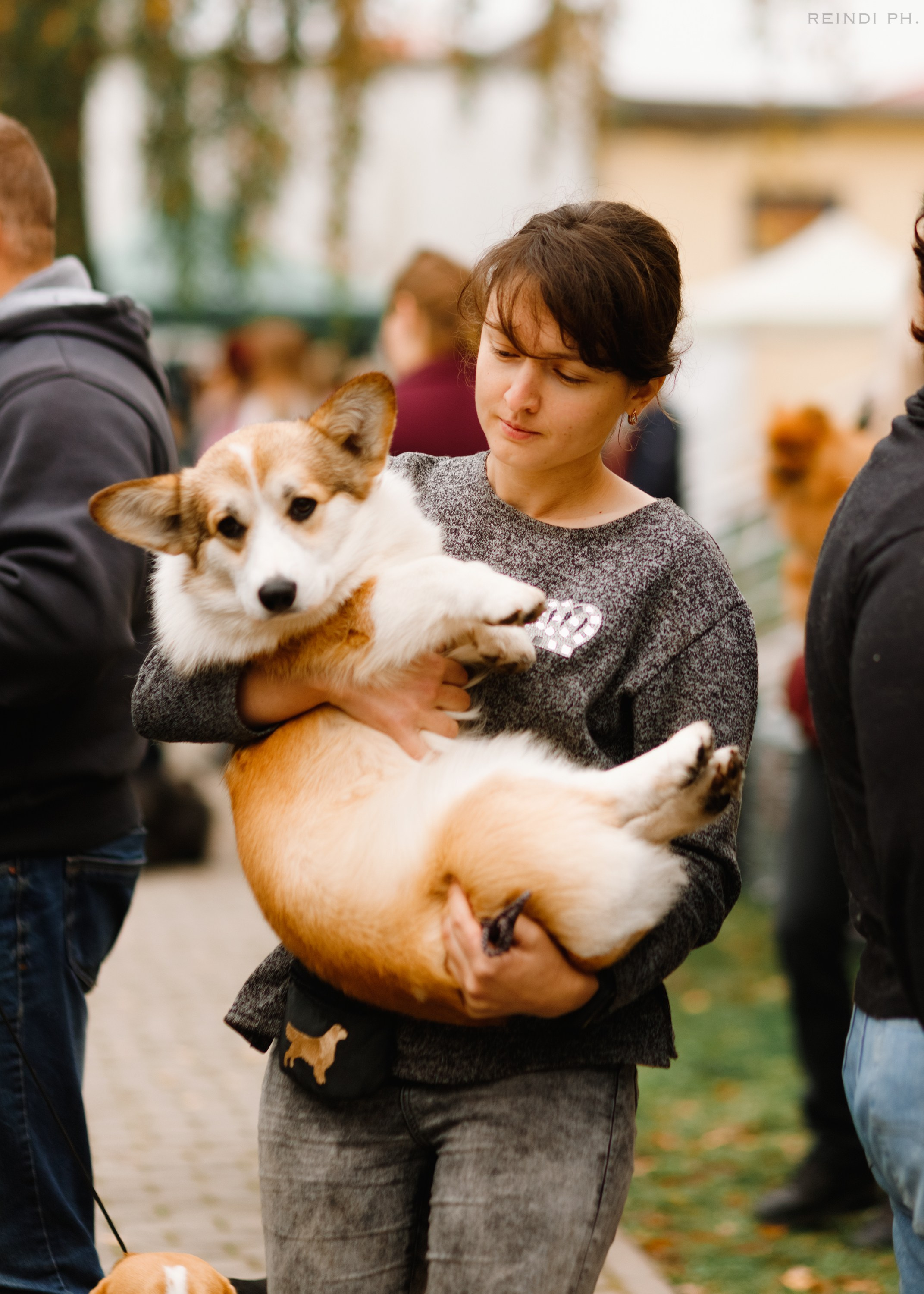 «Argus» dog show in Brest. Kaja | fotograf we Wrocławiu | ludzie i psy