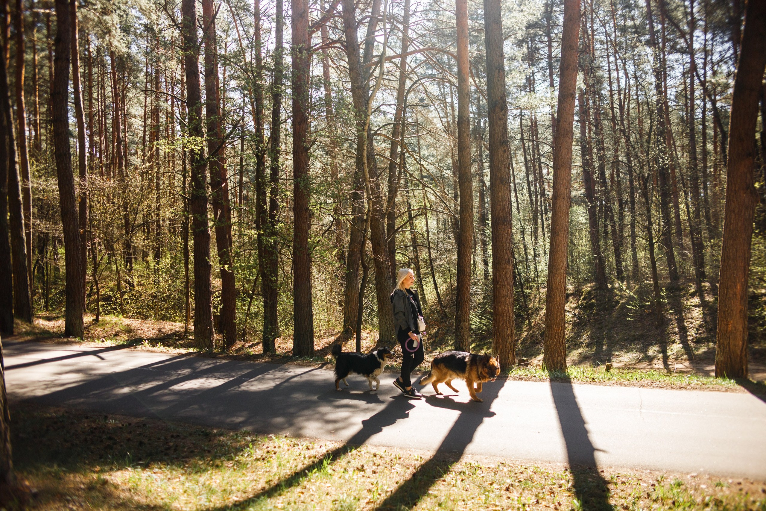 Dog trainer blog content. Kaja | fotograf we Wrocławiu | ludzie i psy