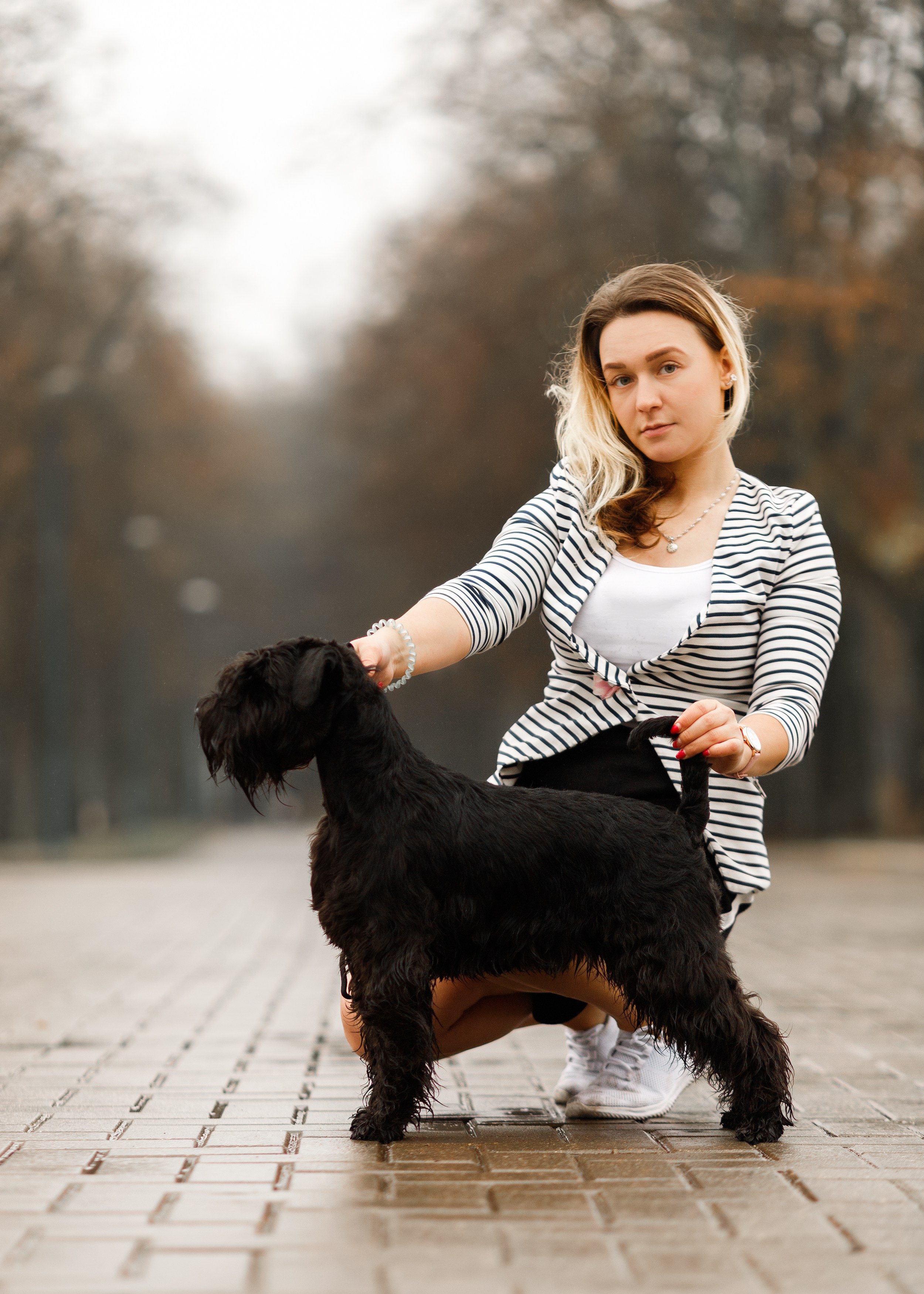 Dog shows | the best ones. Kaja | fotograf psów we Wrocławiu