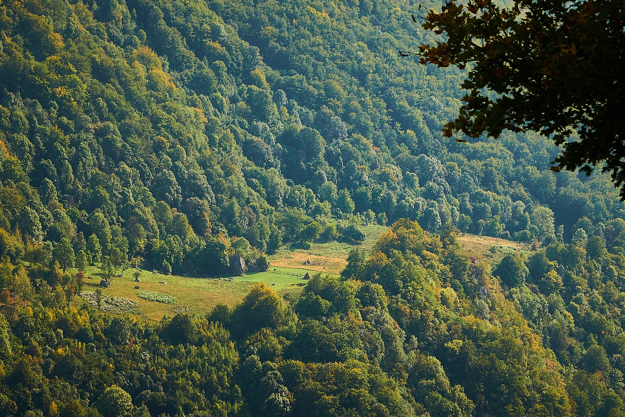 Ineleț, jud. Caraș-Severin. Pagina principală