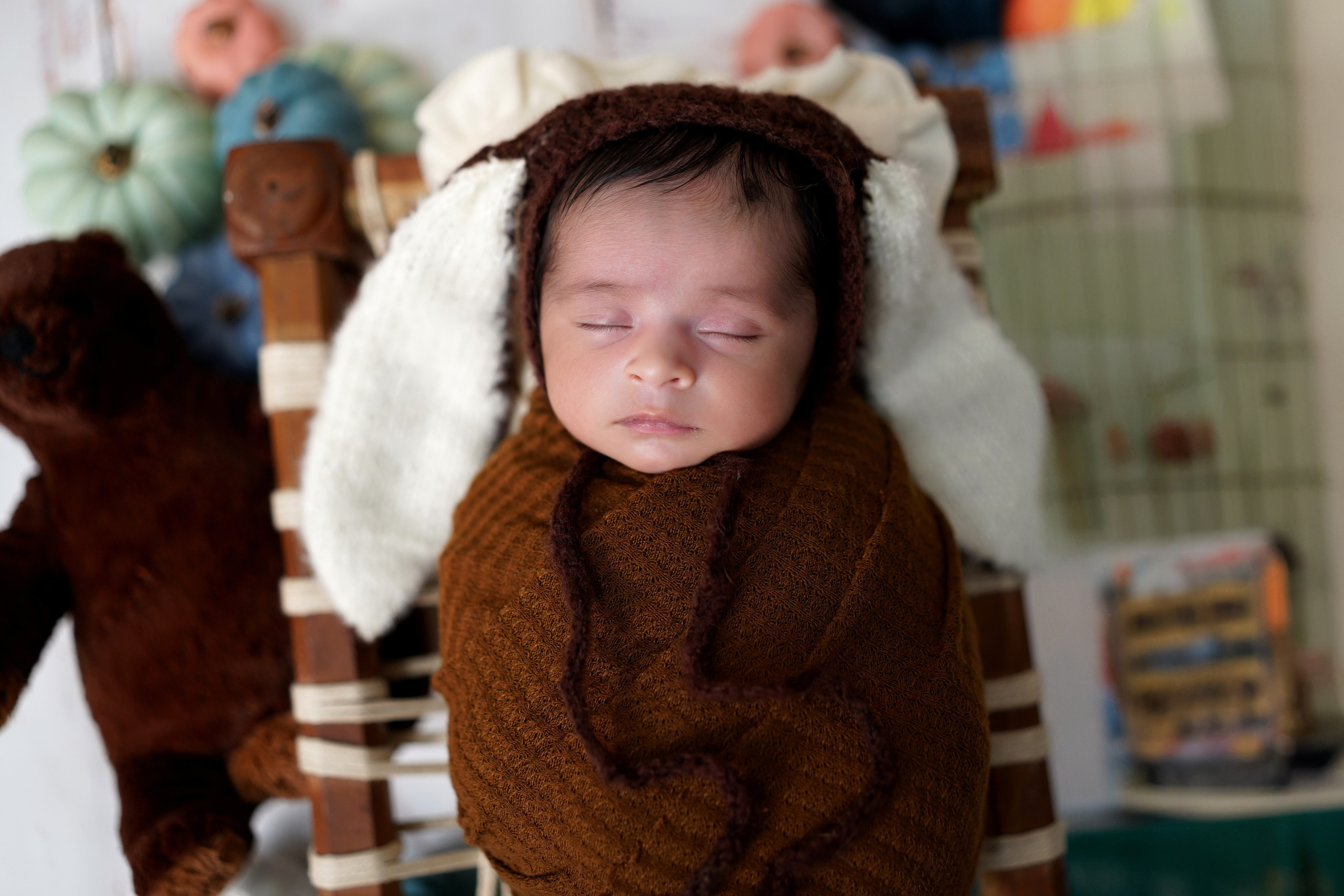 New born. TNF photo & filming