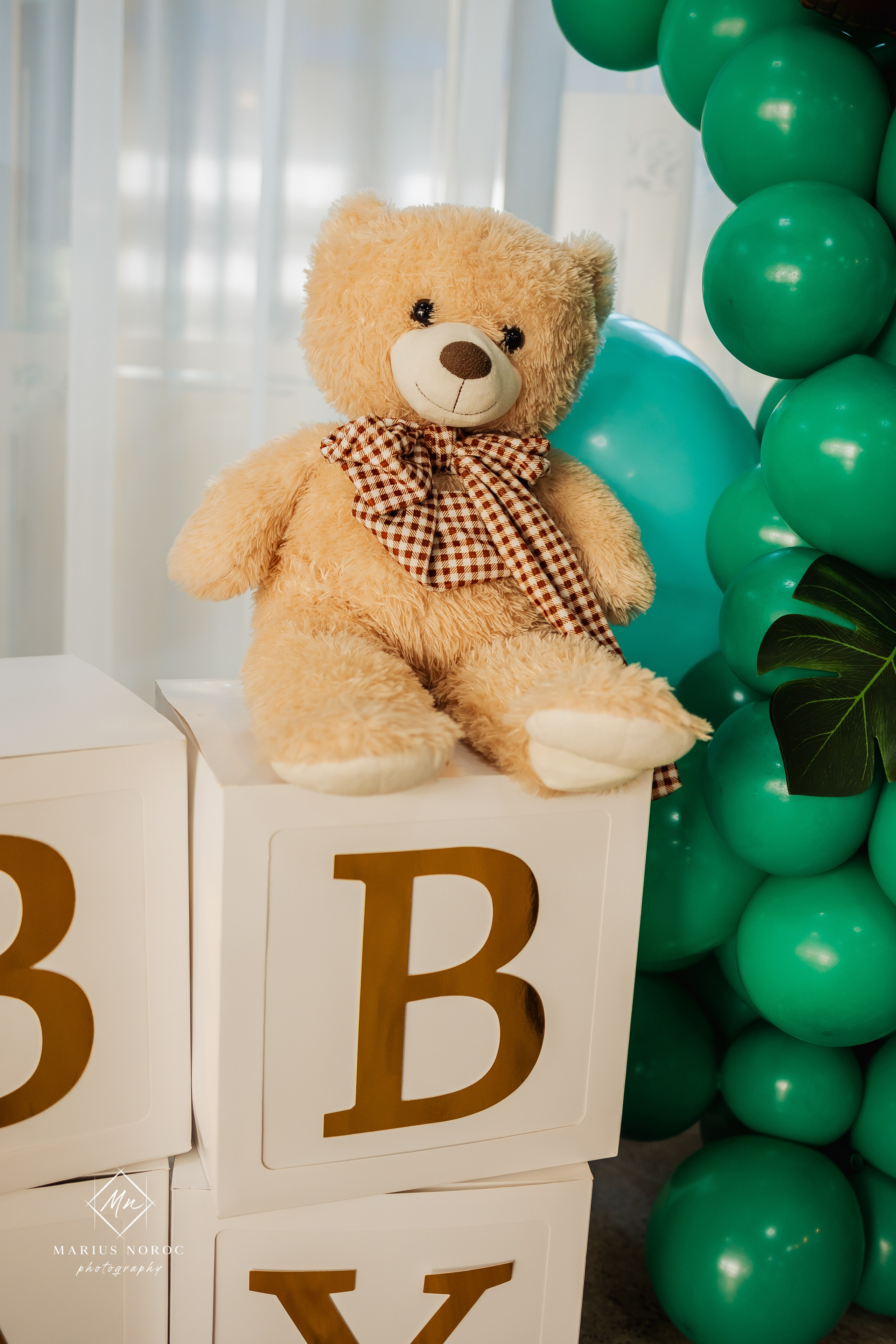 Dominic Christian - Taina Sfântului Botez