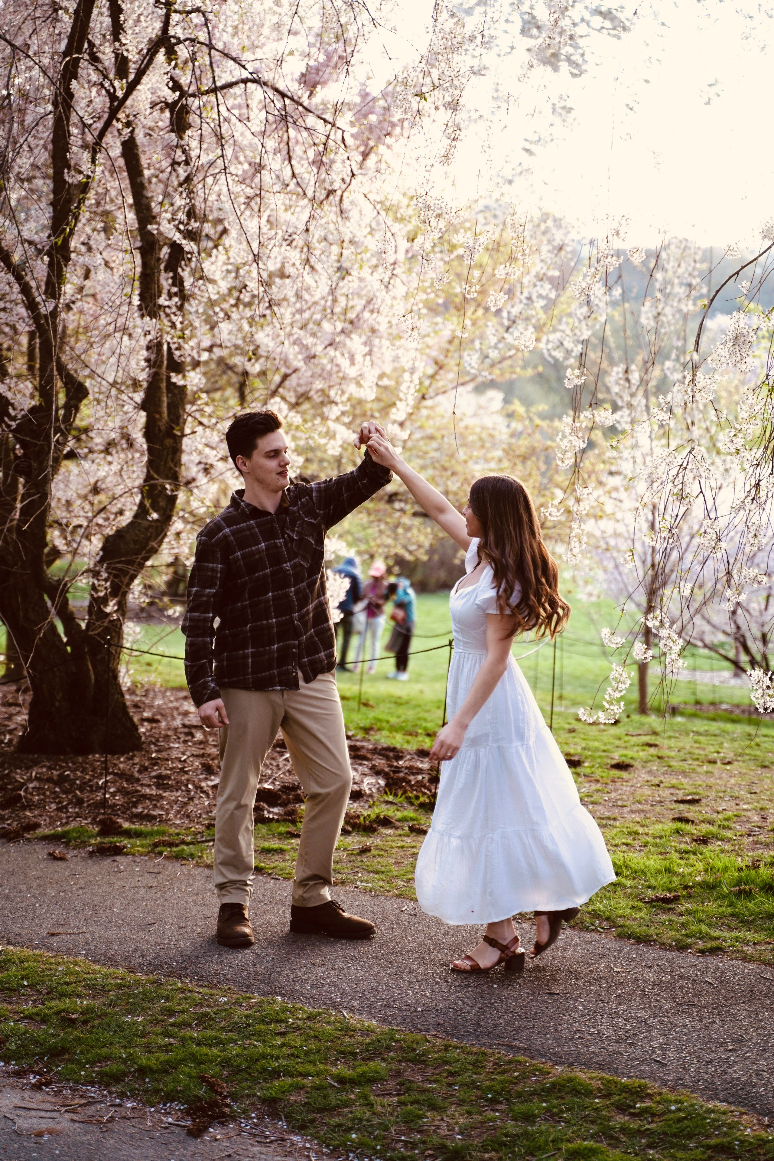 Kassandra and Andrew at Harvard Arboretum. Stefanovich Photography | Boston, MA