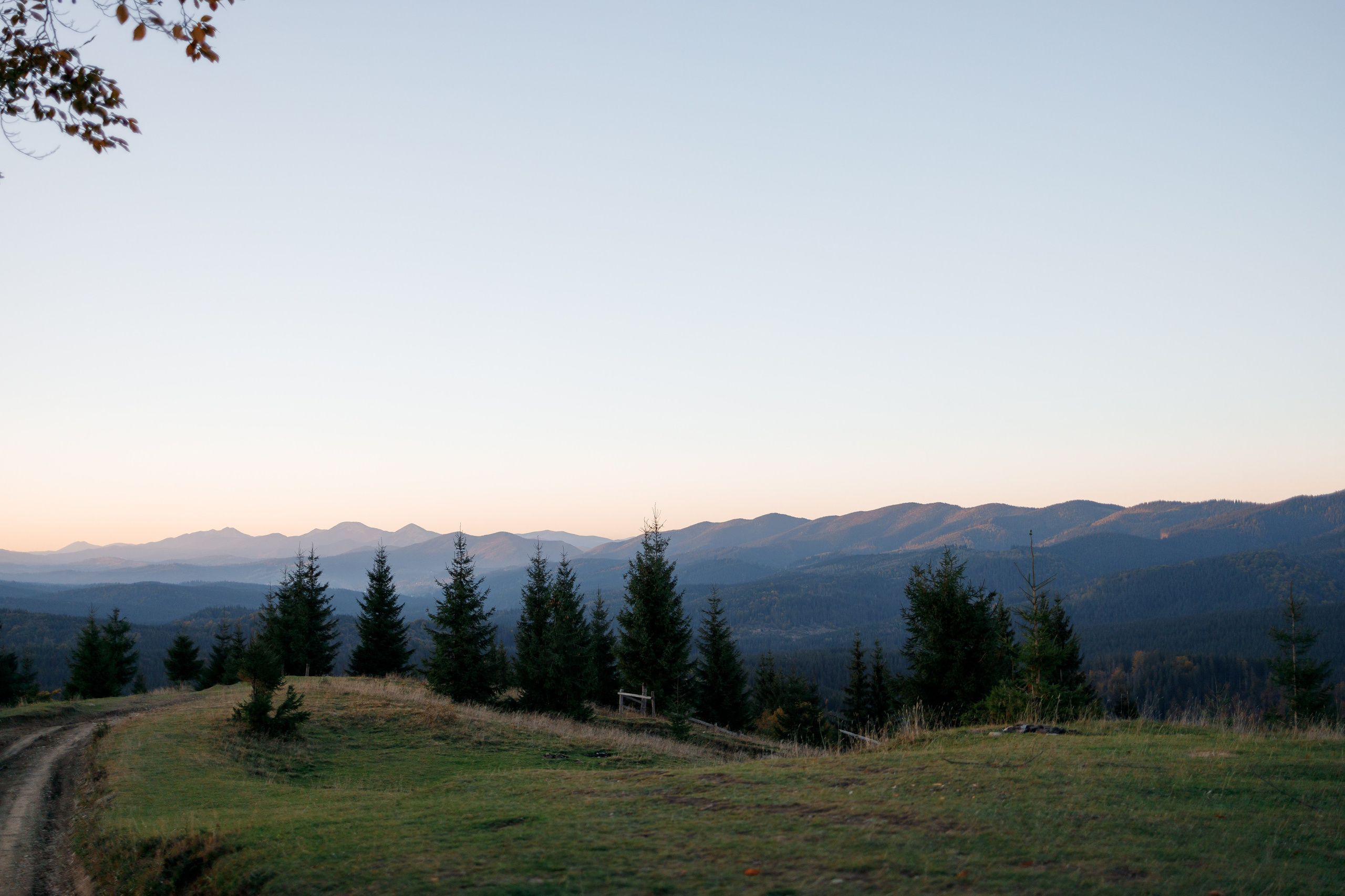 Марія & Дмитро. Весільний та сімейний фотограф Одеса